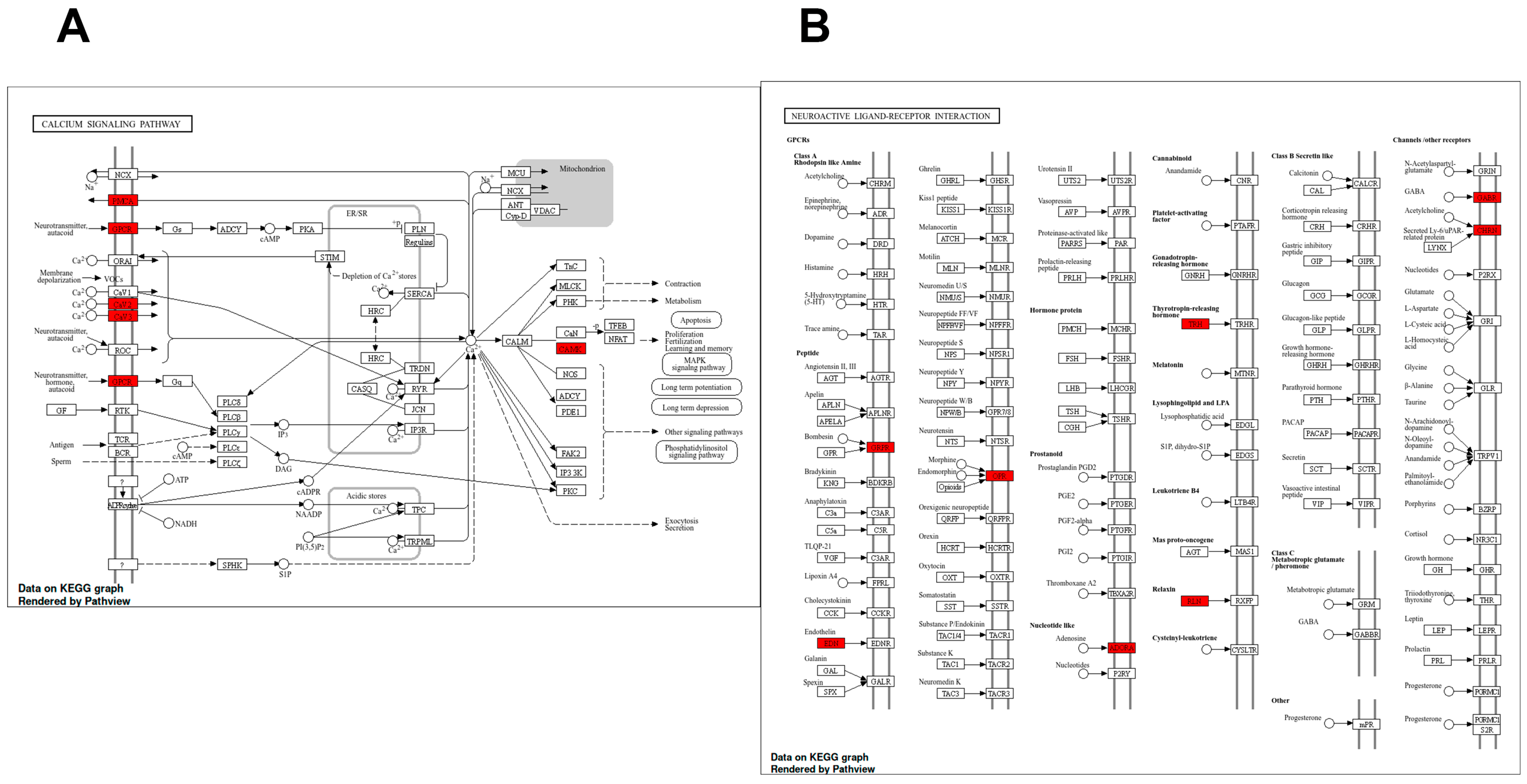 Ijms 26 10299 g004 Ijms 26 10299 g004