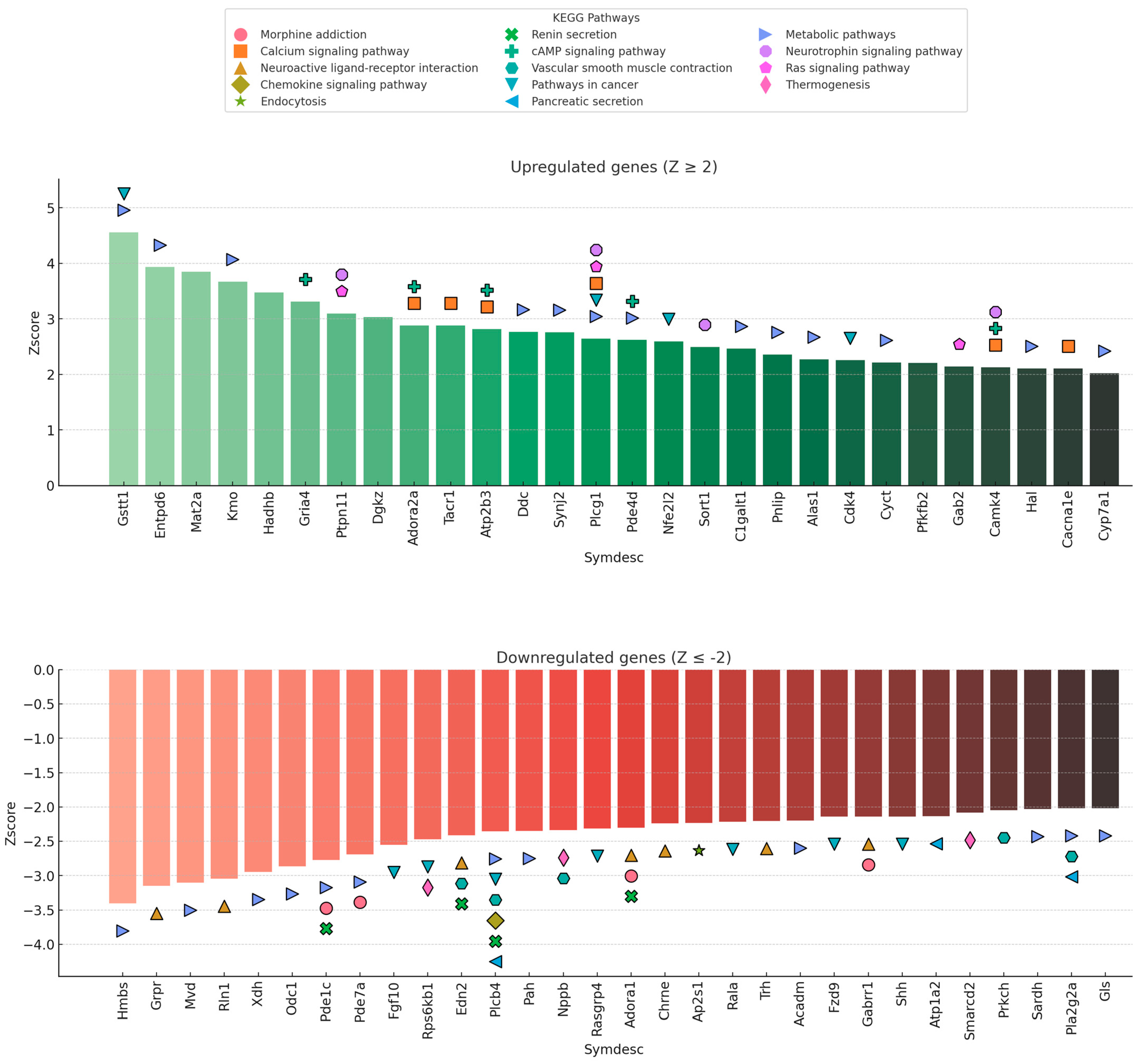 Ijms 26 10299 g005 Ijms 26 10299 g005