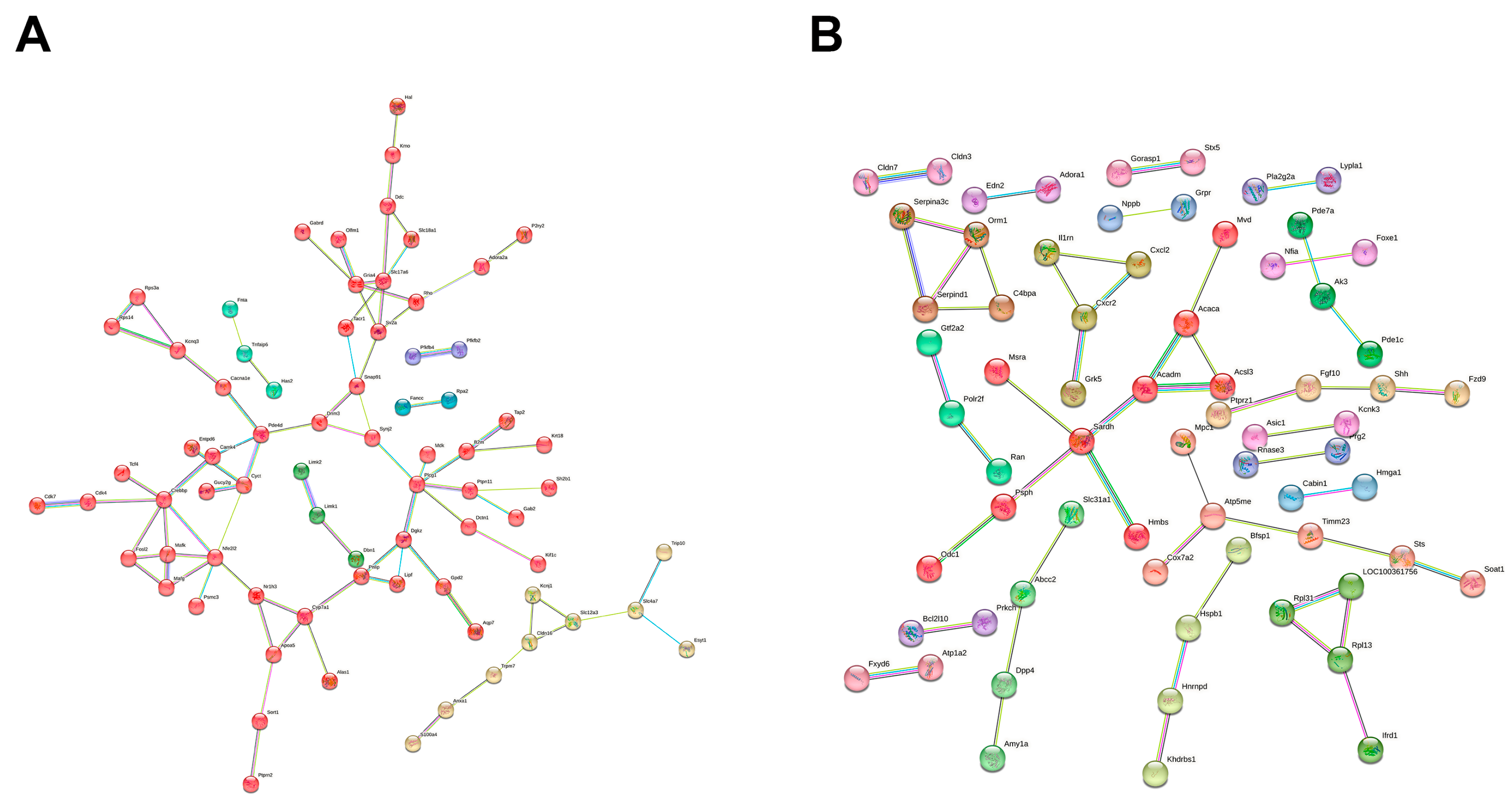 Ijms 26 10299 g006 Ijms 26 10299 g006