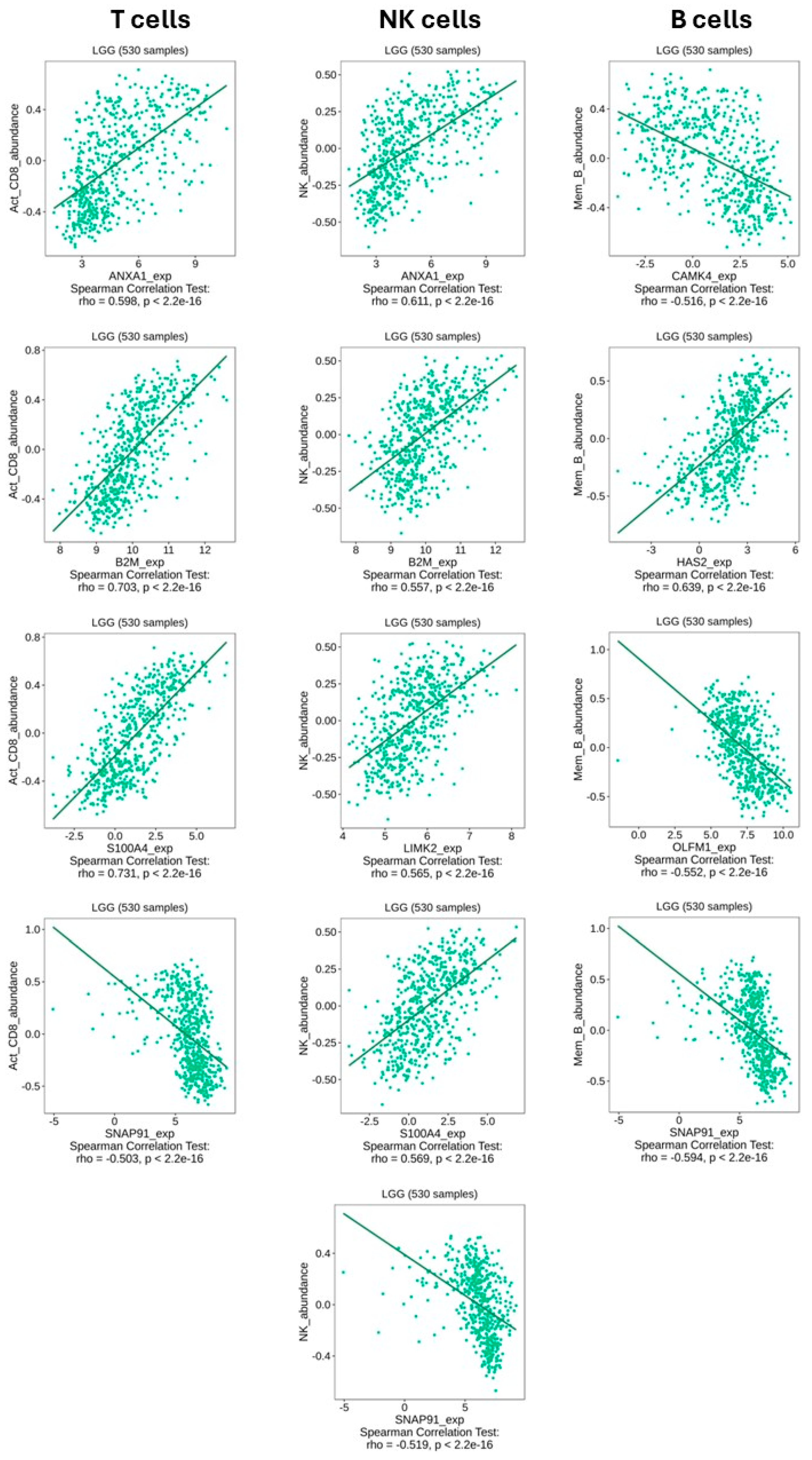 Ijms 26 10299 g008 Ijms 26 10299 g008