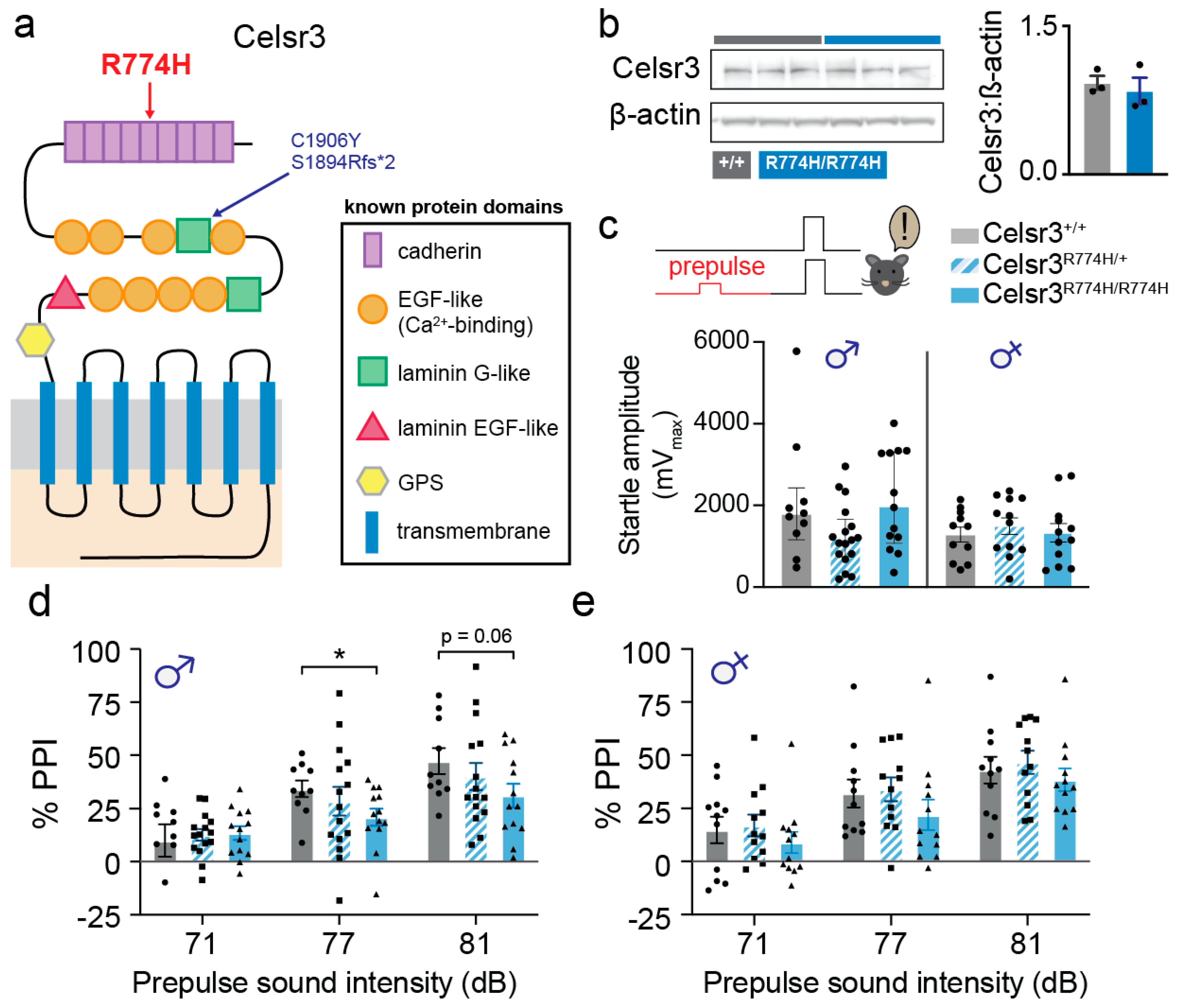 Ijms 26 10307 g001 Ijms 26 10307 g001