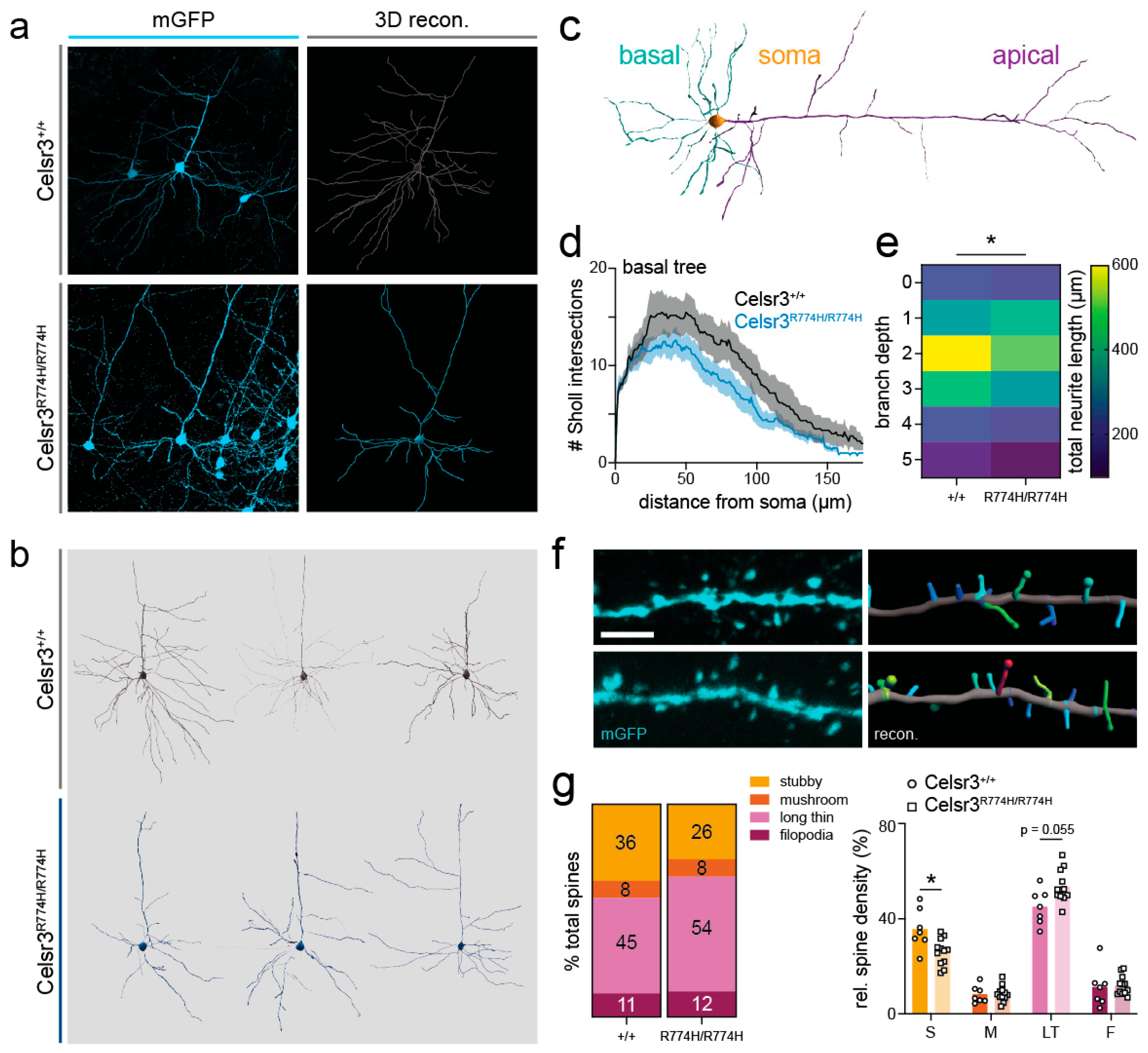 Ijms 26 10307 g005 Ijms 26 10307 g005