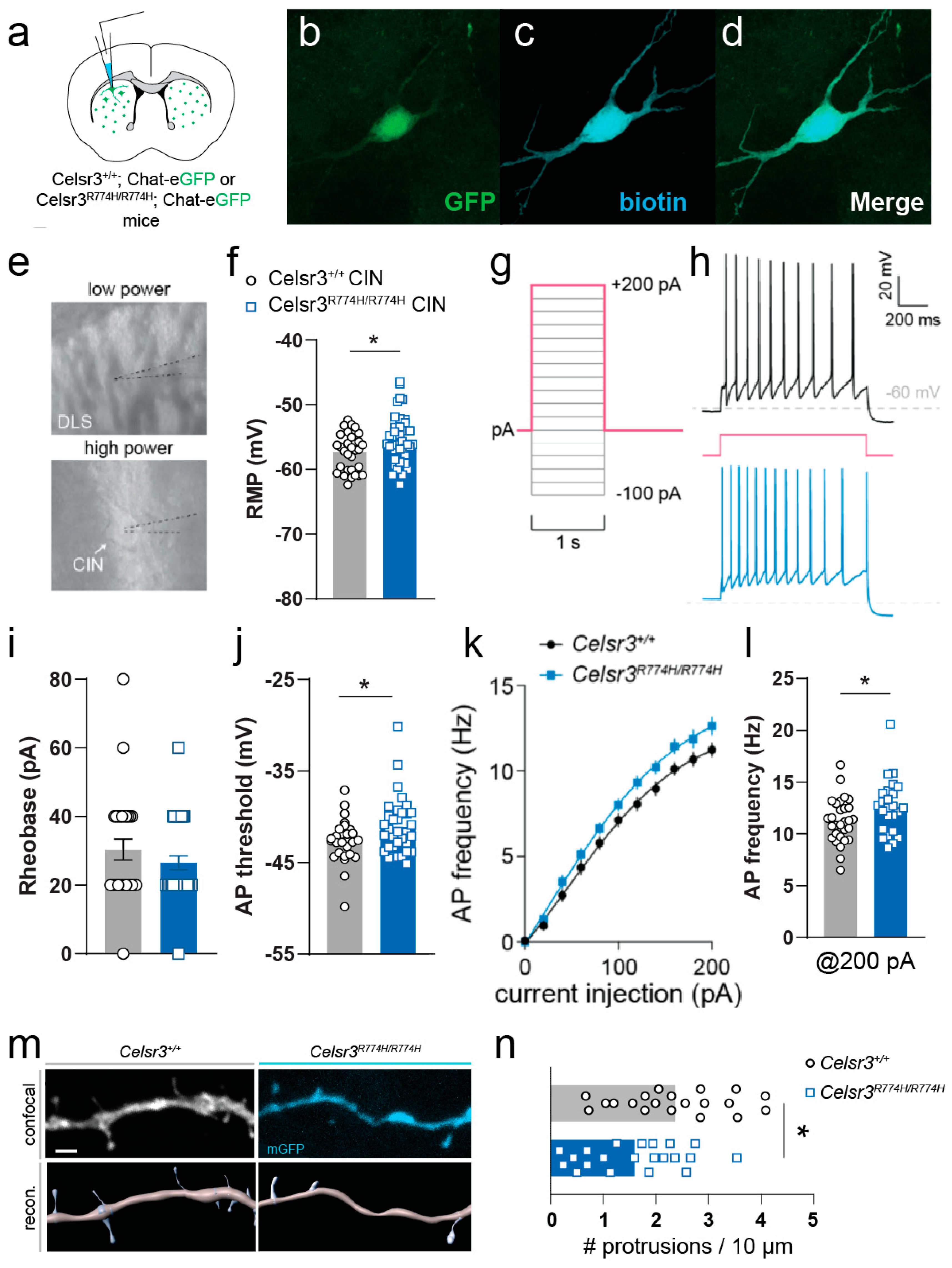 Ijms 26 10307 g007 Ijms 26 10307 g007