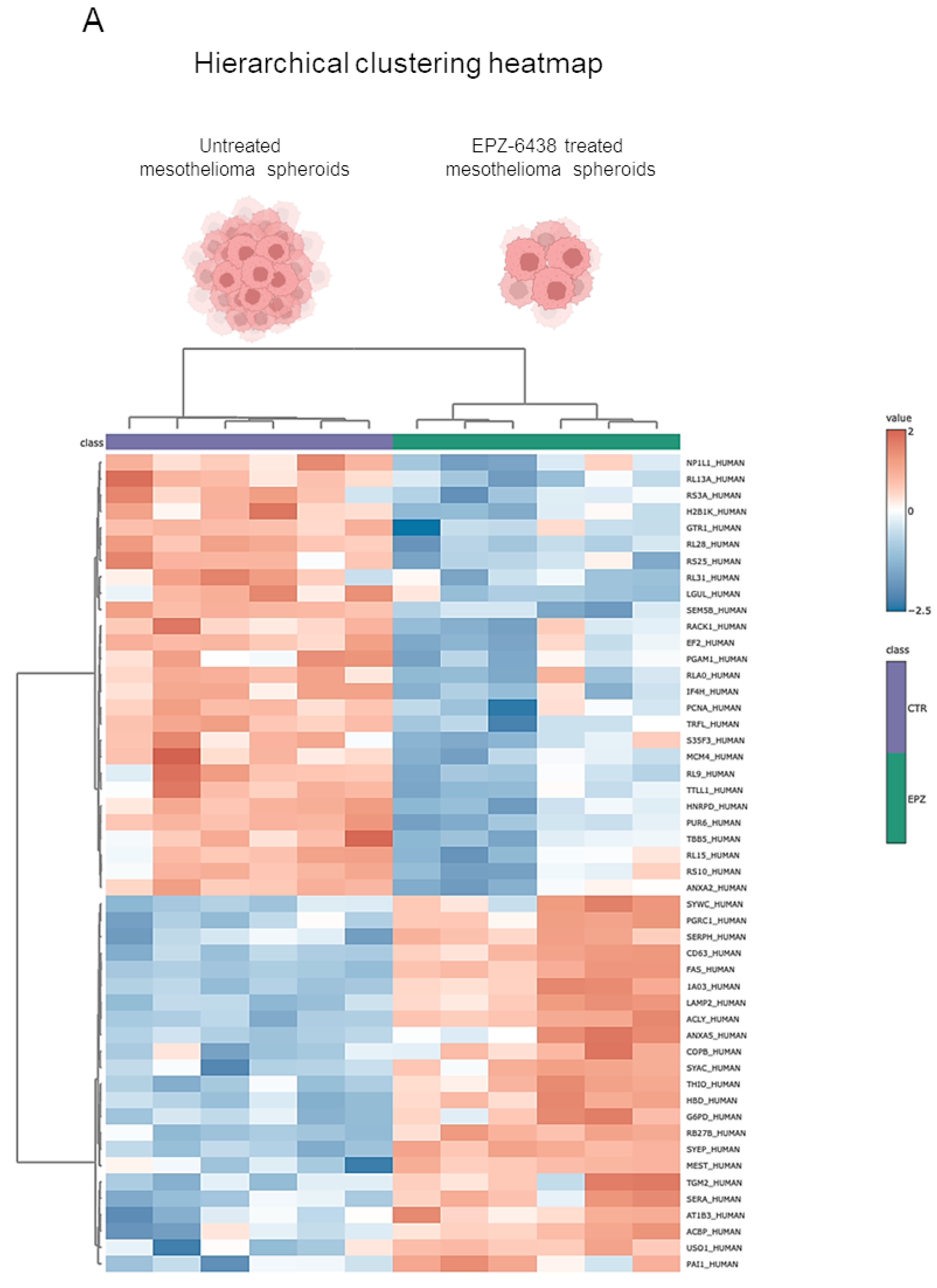 Ijms 26 10328 g001a Ijms 26 10328 g001a