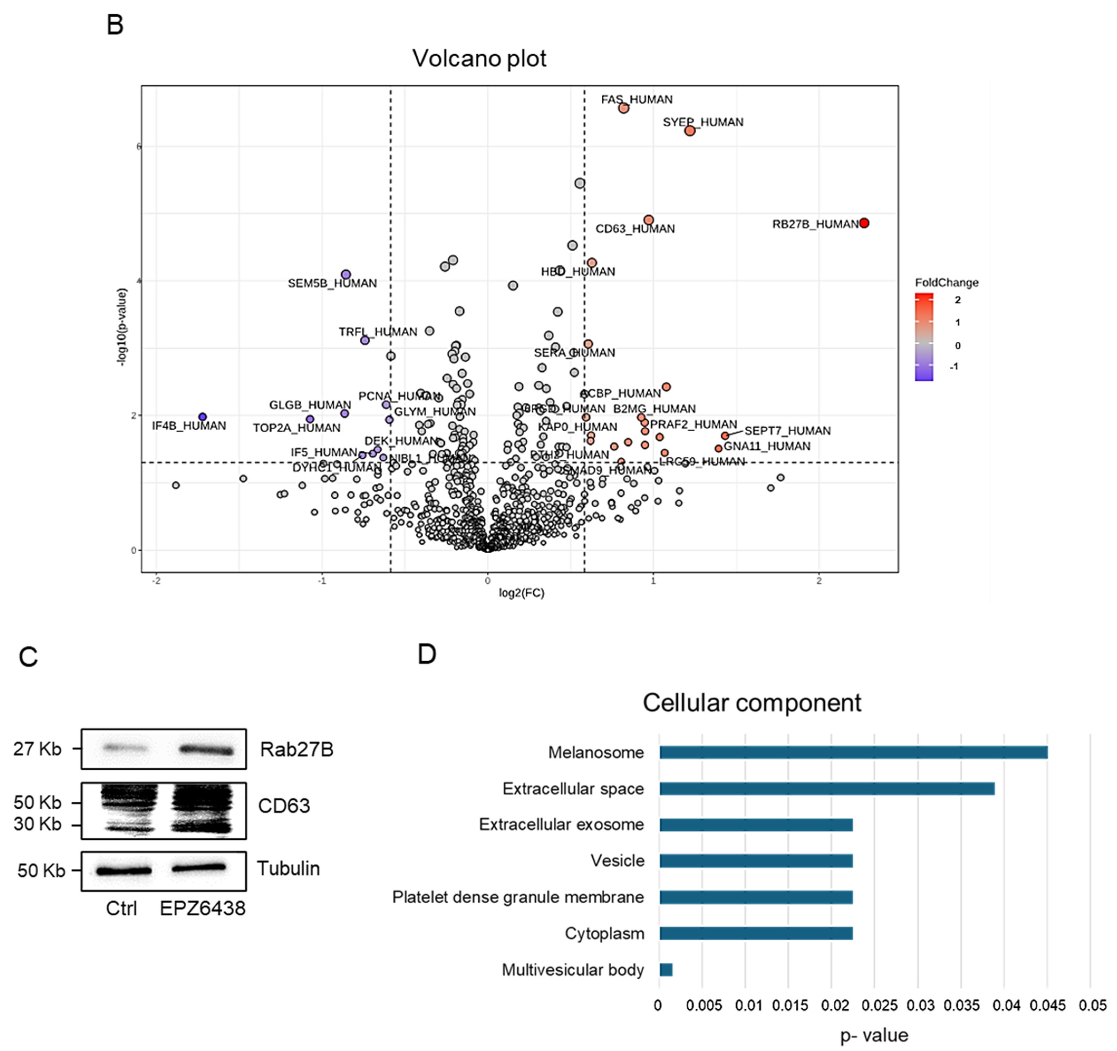 Ijms 26 10328 g001b Ijms 26 10328 g001b
