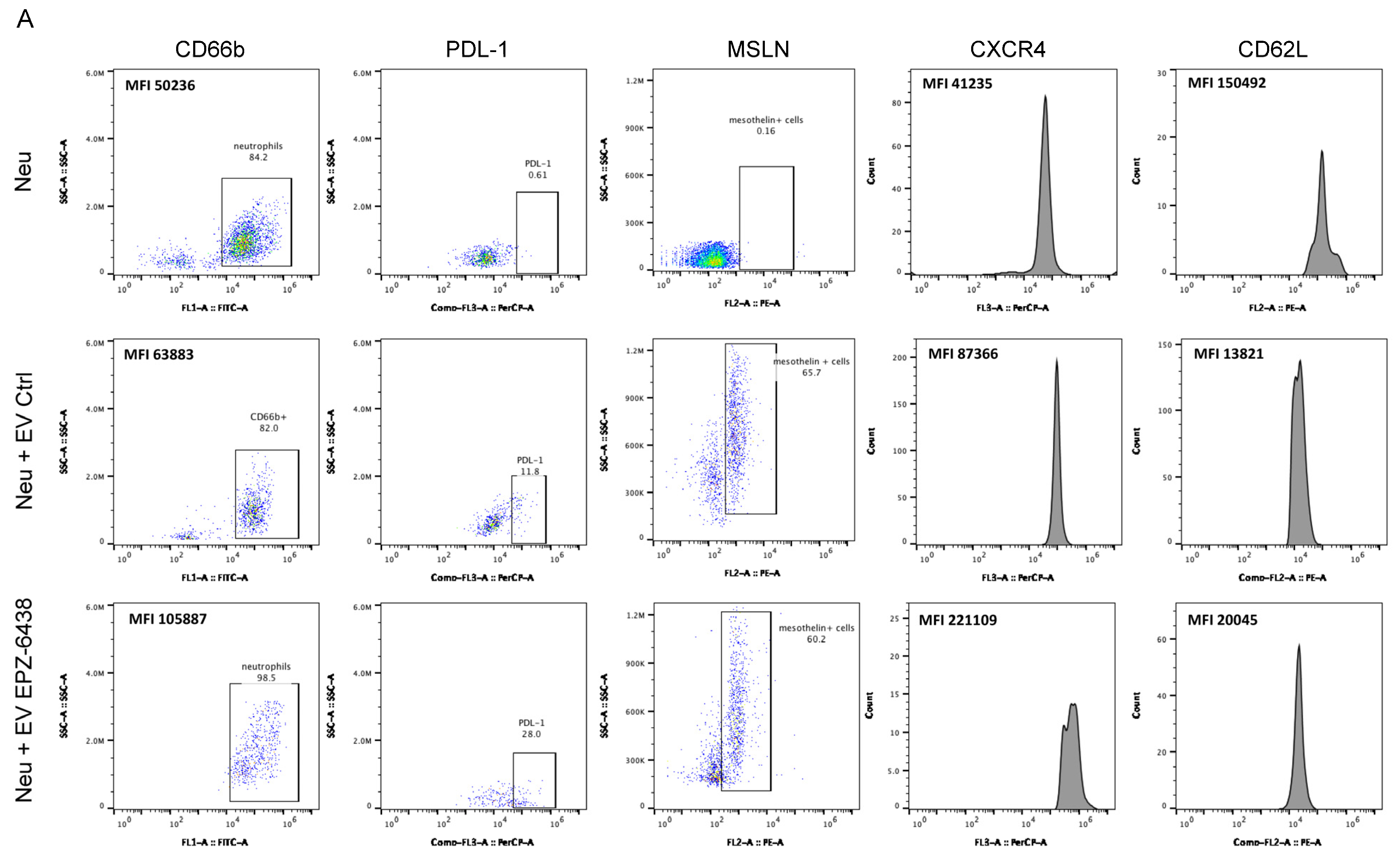 Ijms 26 10328 g003a Ijms 26 10328 g003a