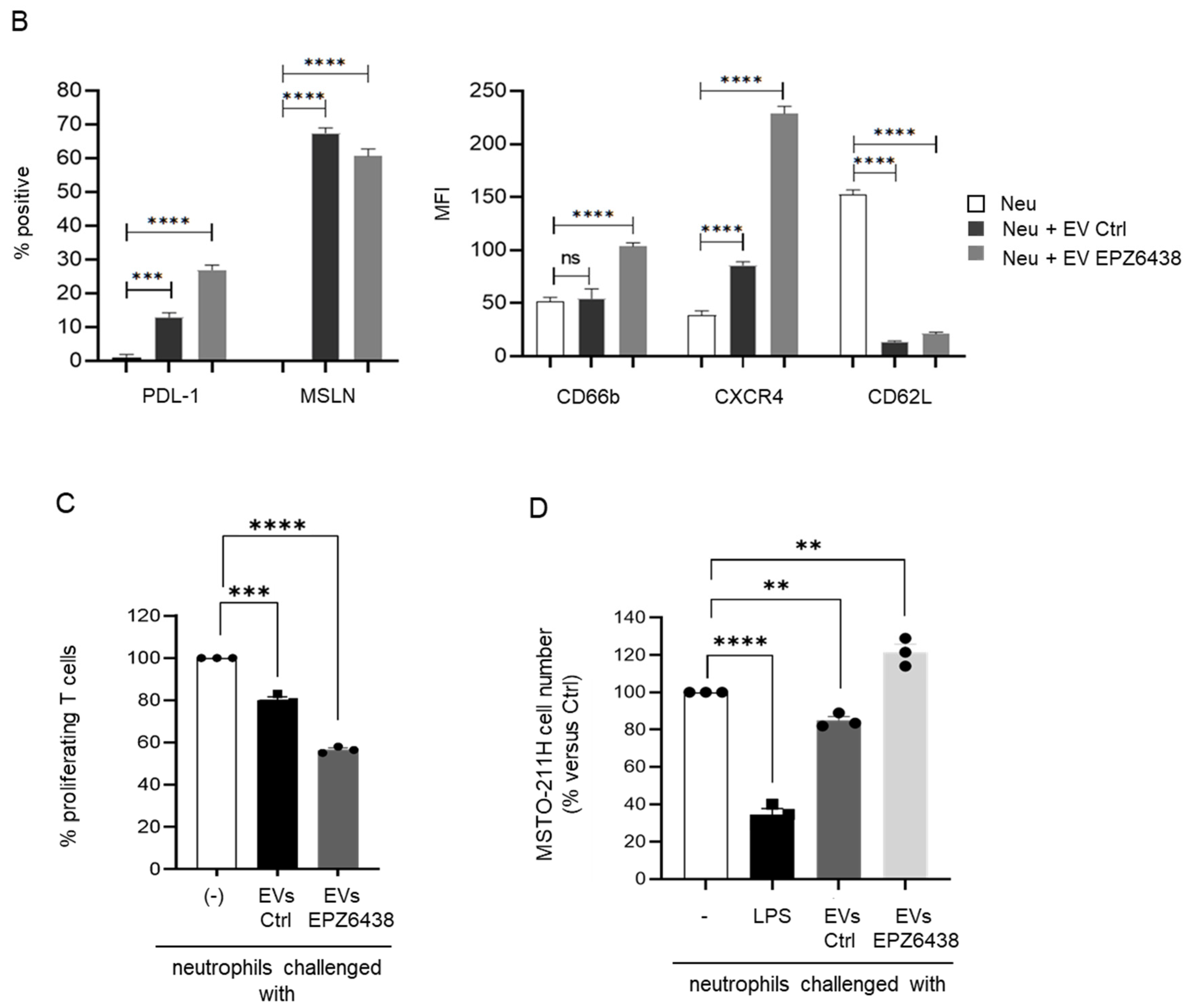 Ijms 26 10328 g003b Ijms 26 10328 g003b