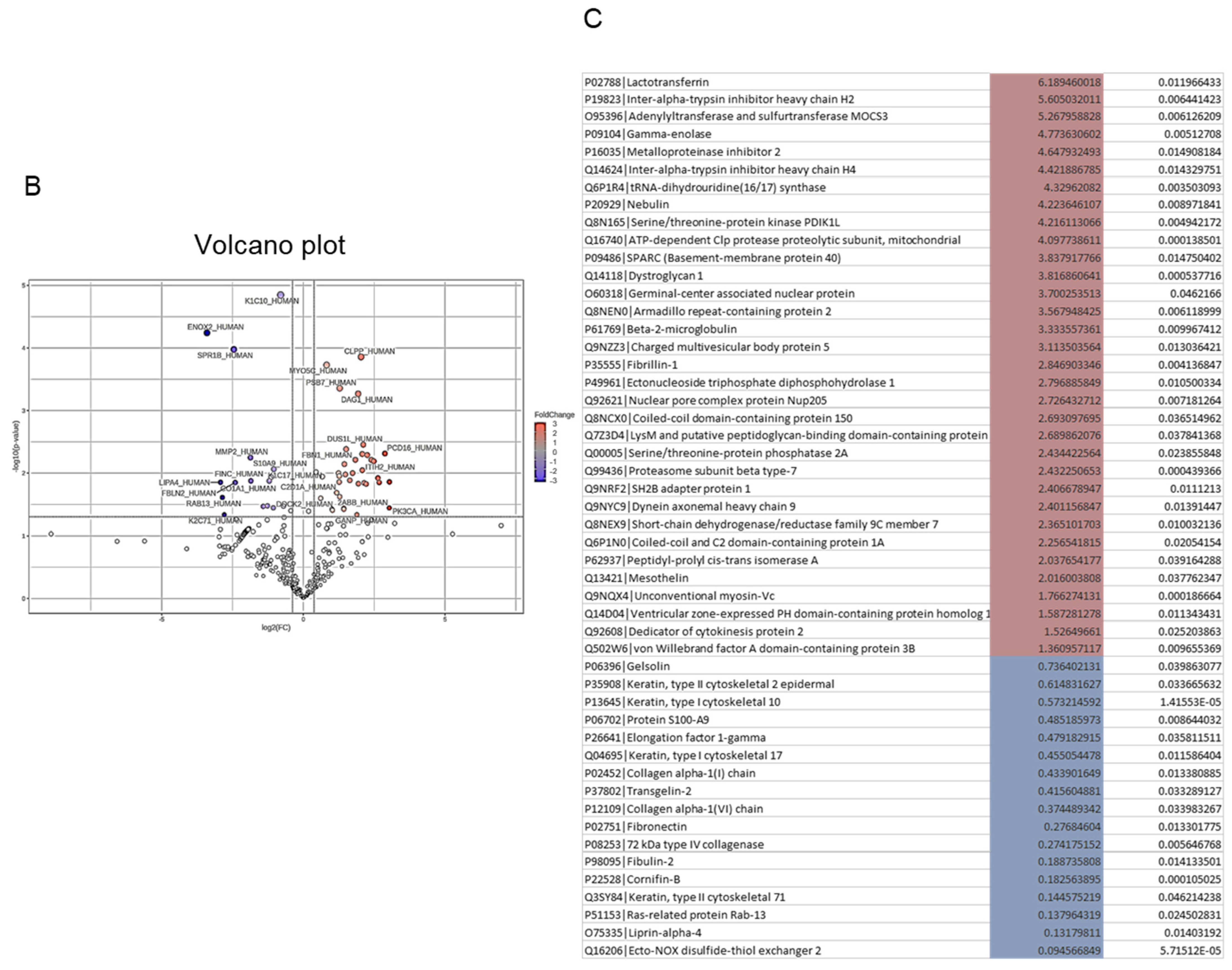 Ijms 26 10328 g004b Ijms 26 10328 g004b