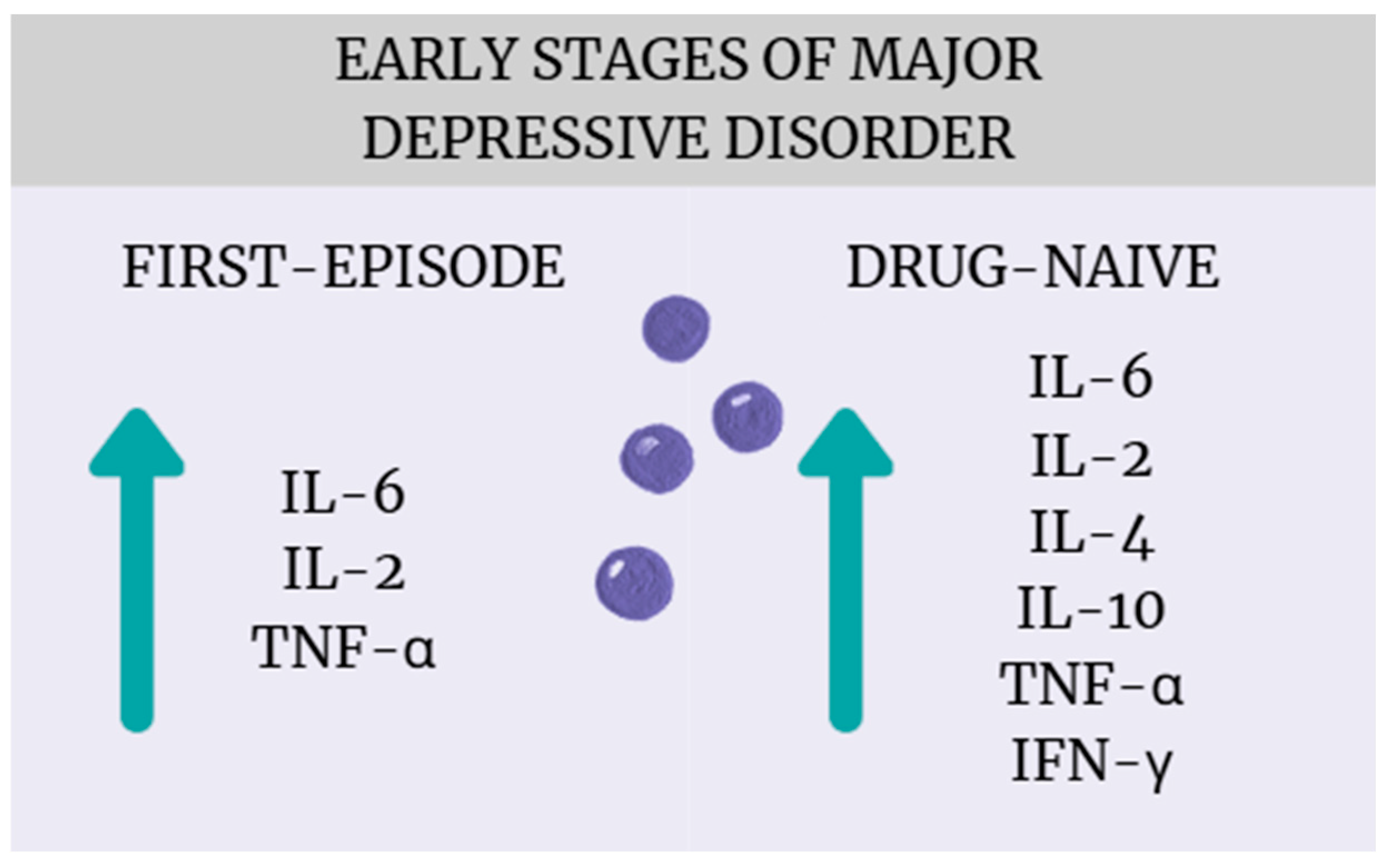 Ijms 26 10362 g016 Ijms 26 10362 g016