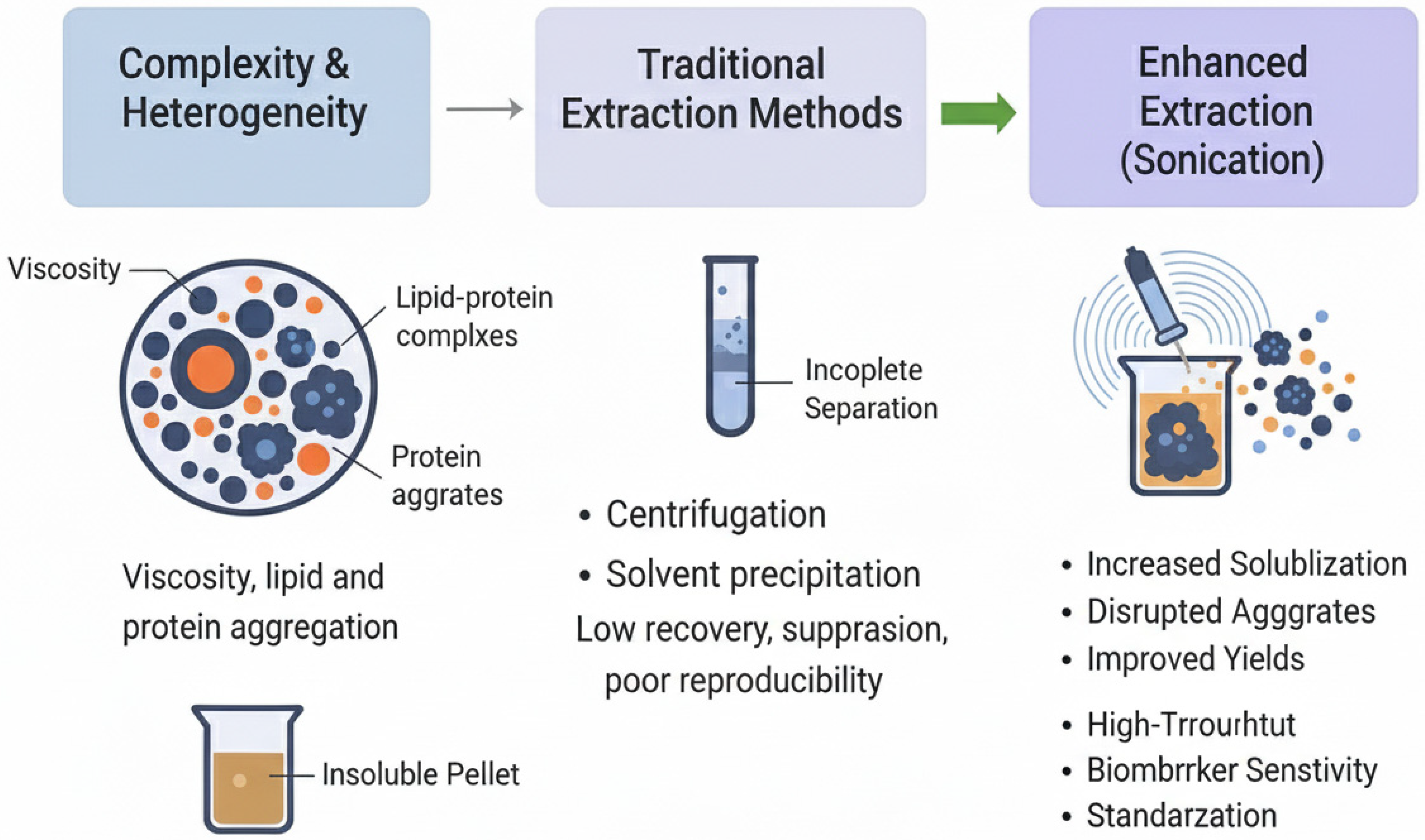 Ijms 26 10368 g001 Ijms 26 10368 g001
