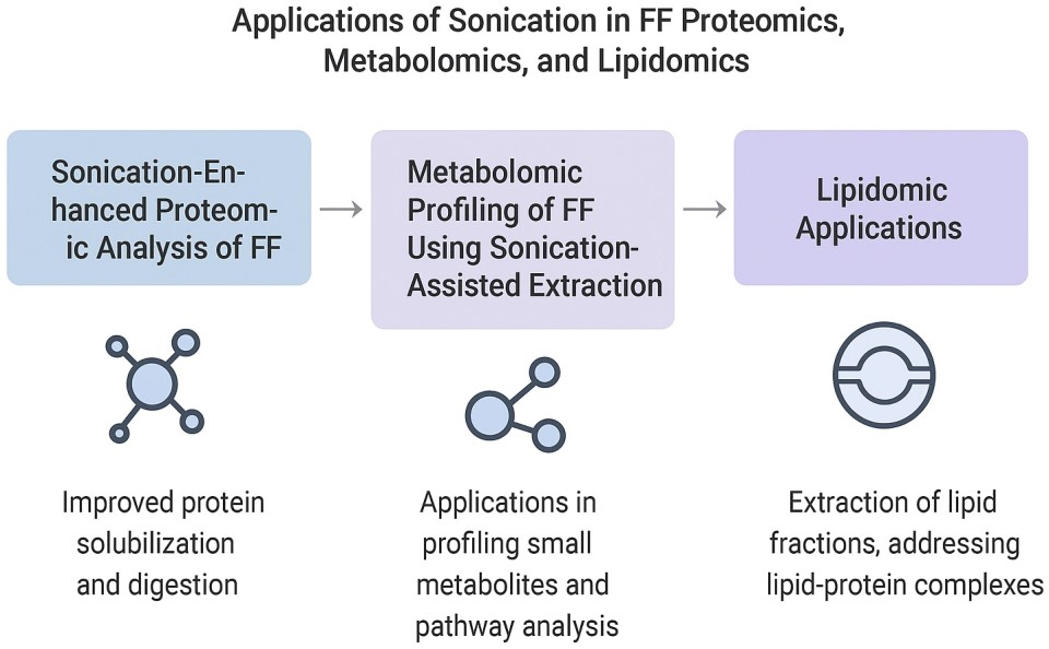Ijms 26 10368 g003 Ijms 26 10368 g003