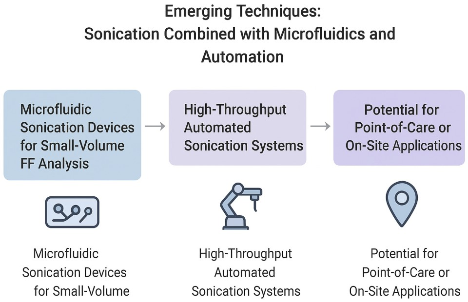 Ijms 26 10368 g004 Ijms 26 10368 g004