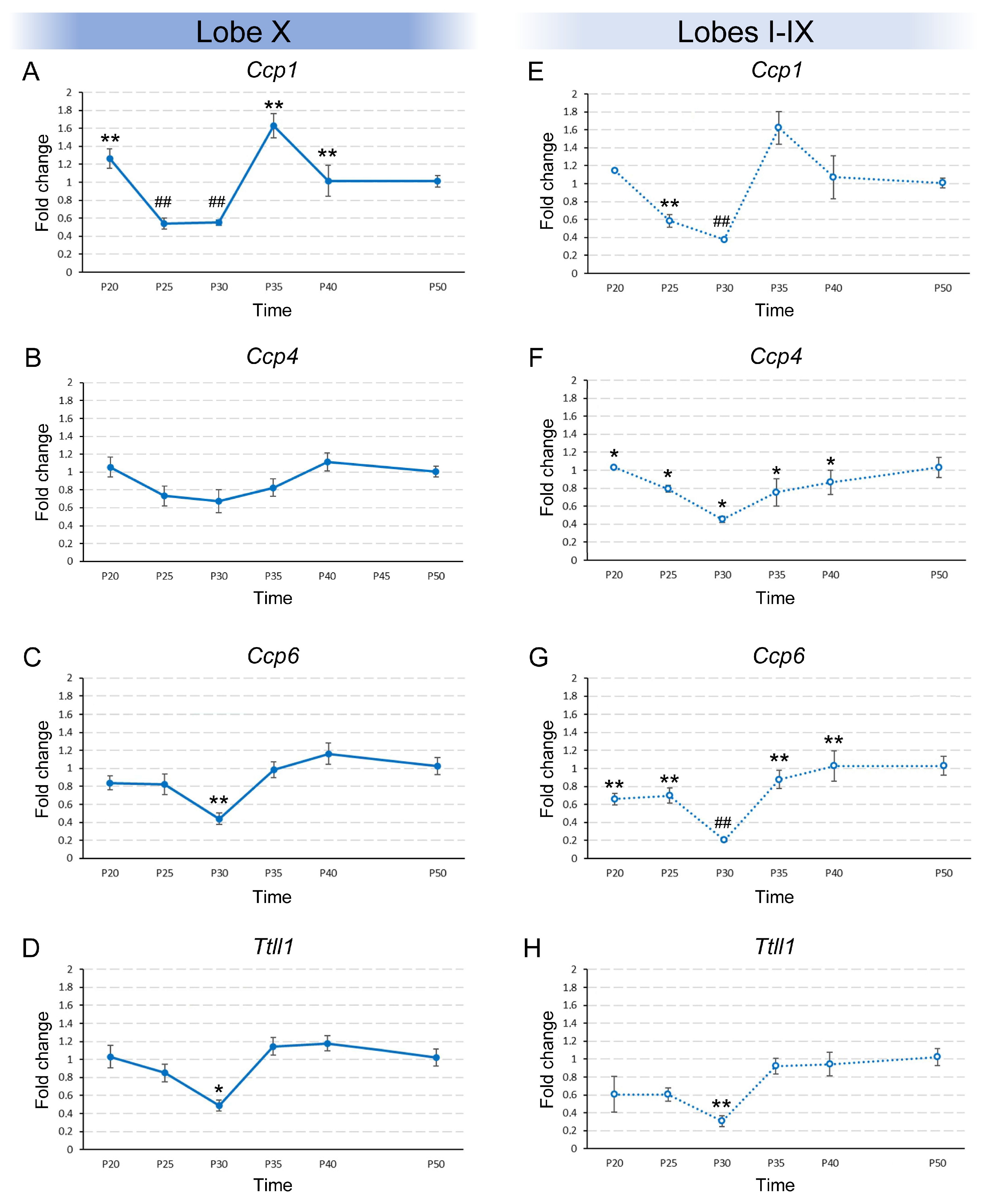 Ijms 26 10378 g001 Ijms 26 10378 g001