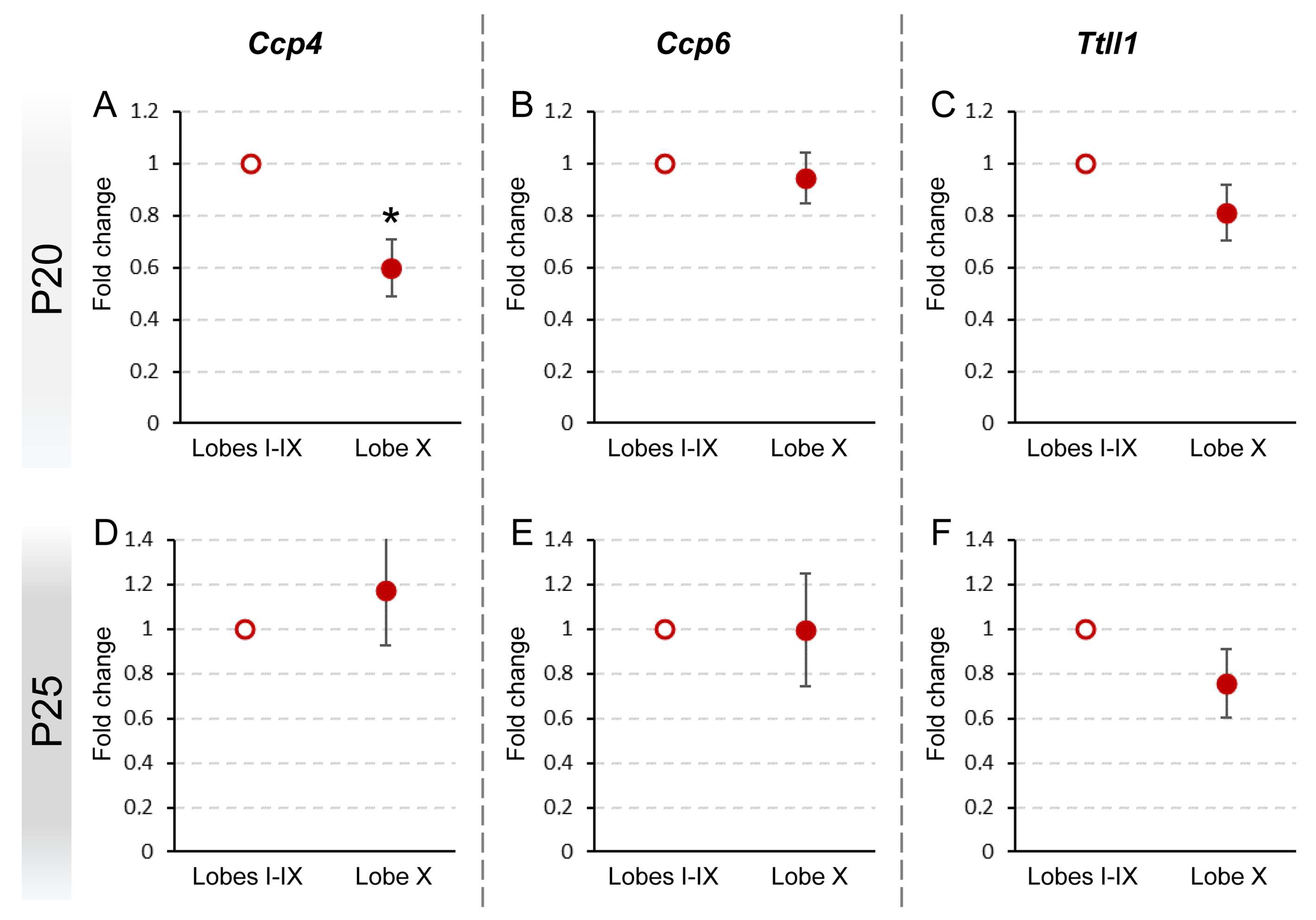 Ijms 26 10378 g003 Ijms 26 10378 g003