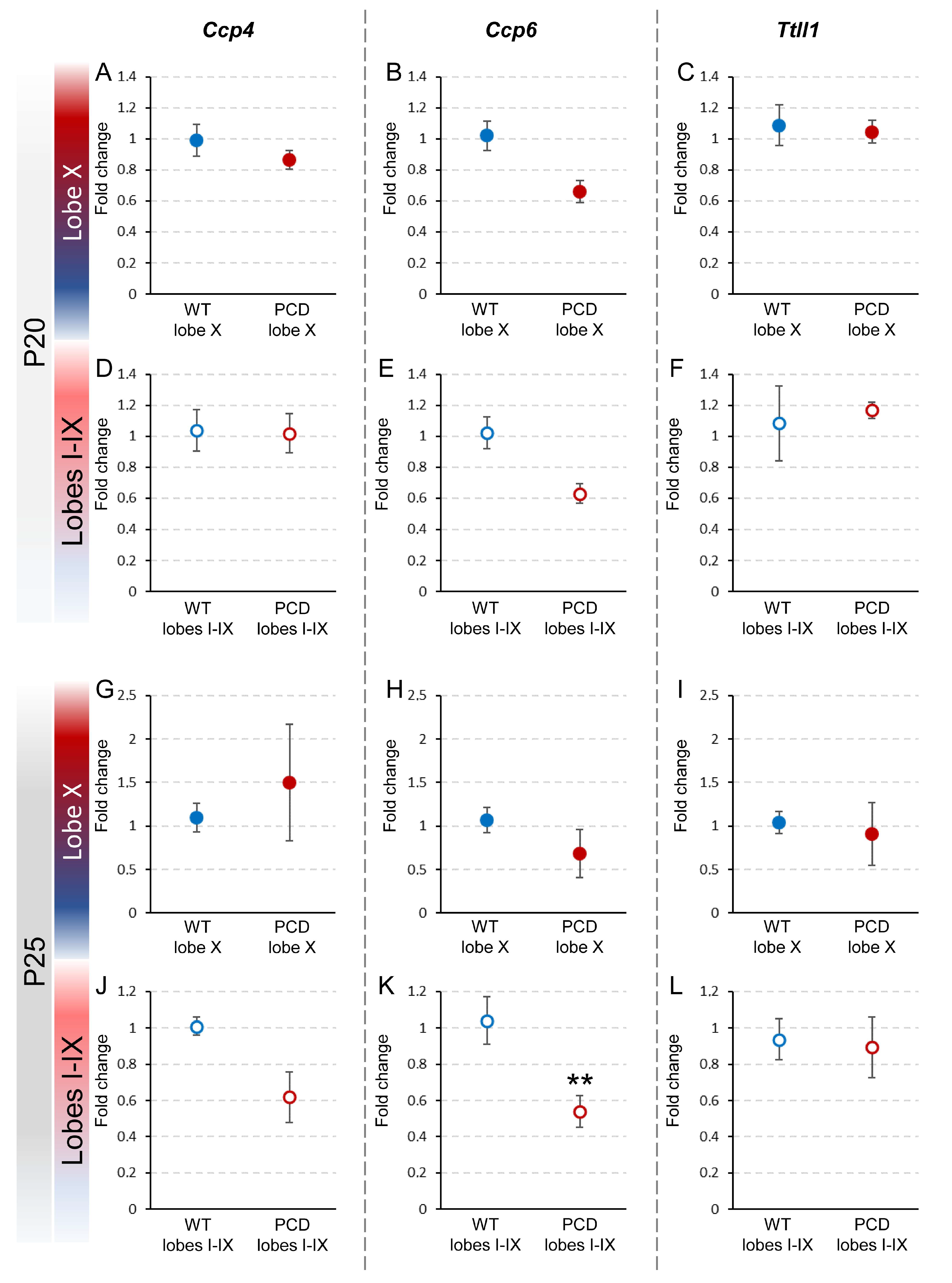 Ijms 26 10378 g004 Ijms 26 10378 g004