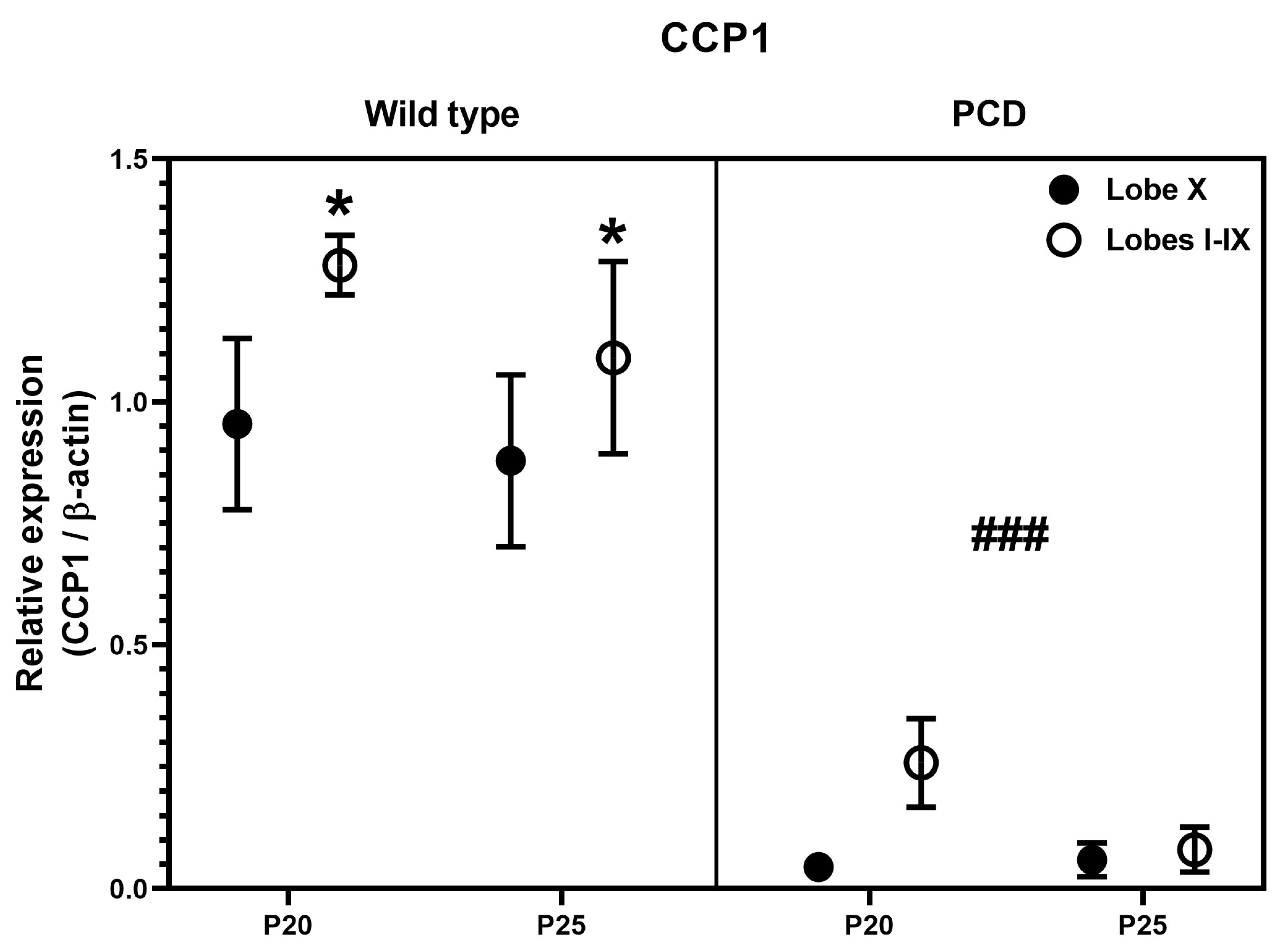Ijms 26 10378 g007 Ijms 26 10378 g007