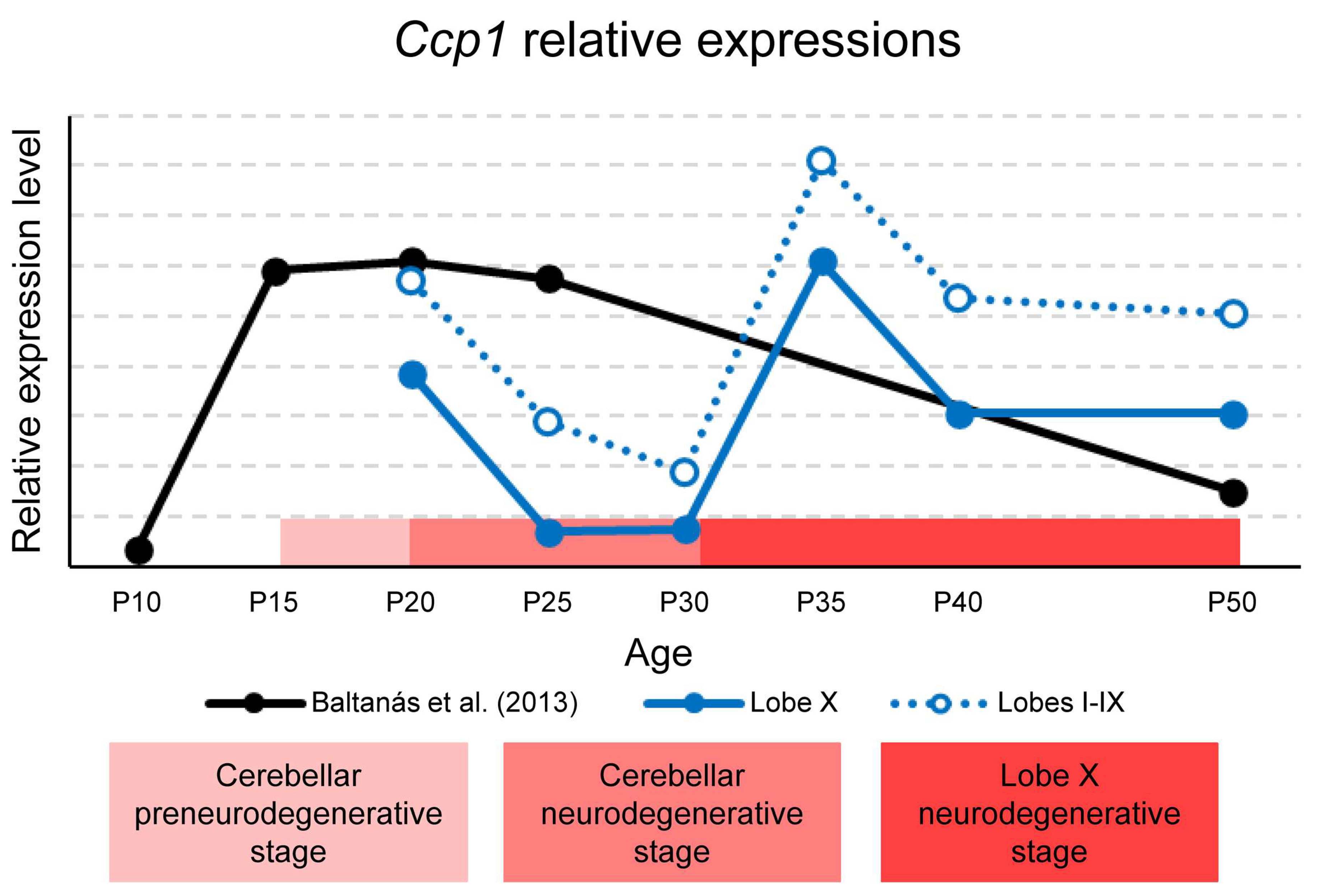 Ijms 26 10378 g008 Ijms 26 10378 g008