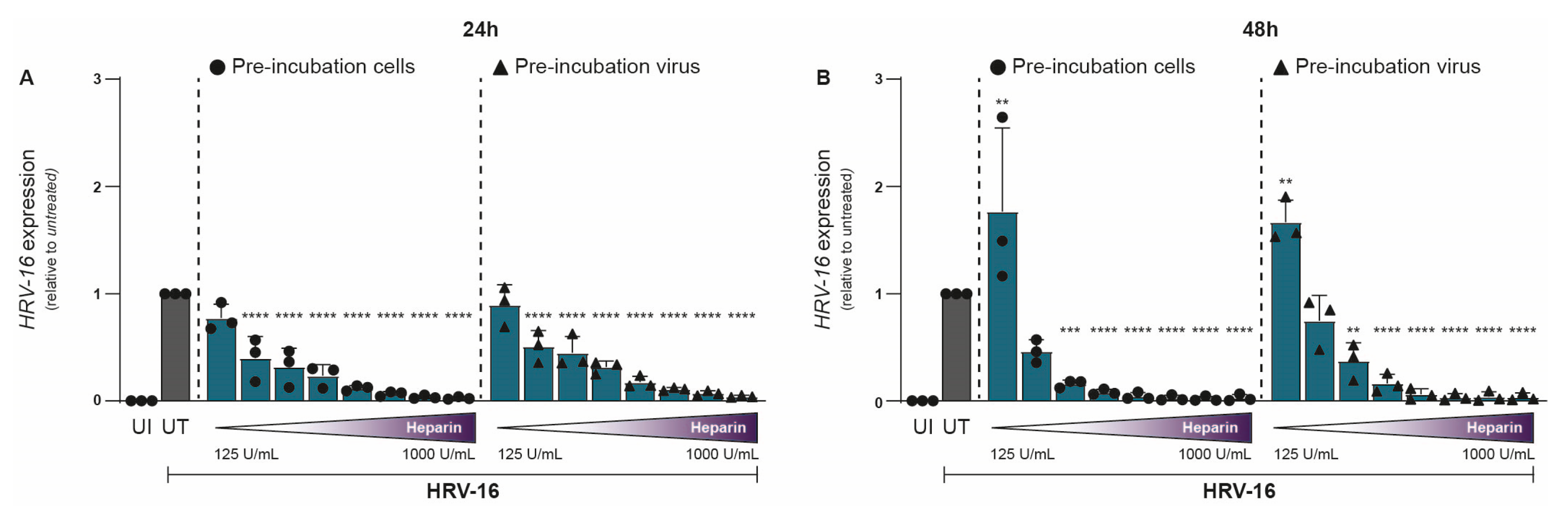 Ijms 26 10393 g001 Ijms 26 10393 g001