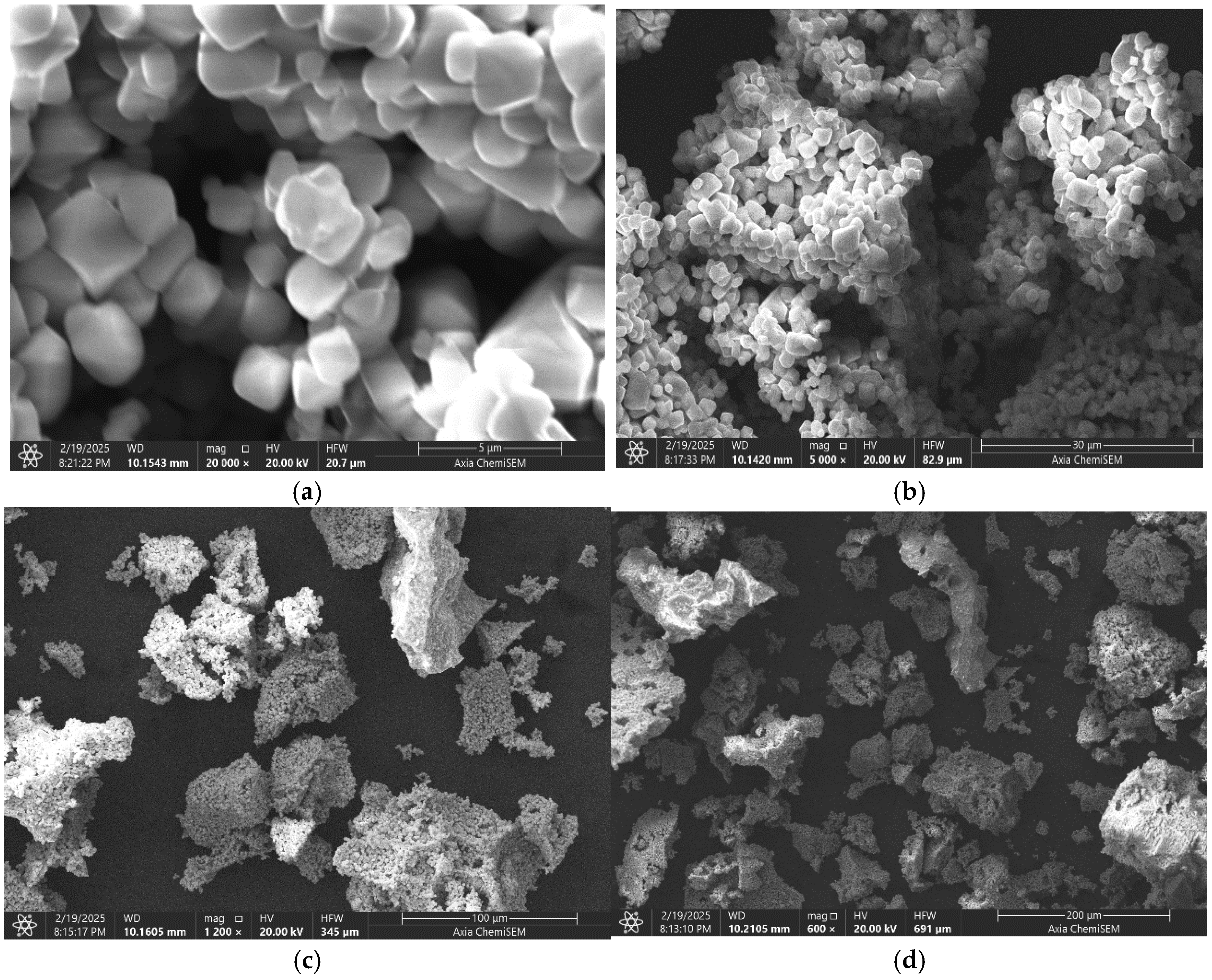 Ijms 26 10409 g006 Ijms 26 10409 g006