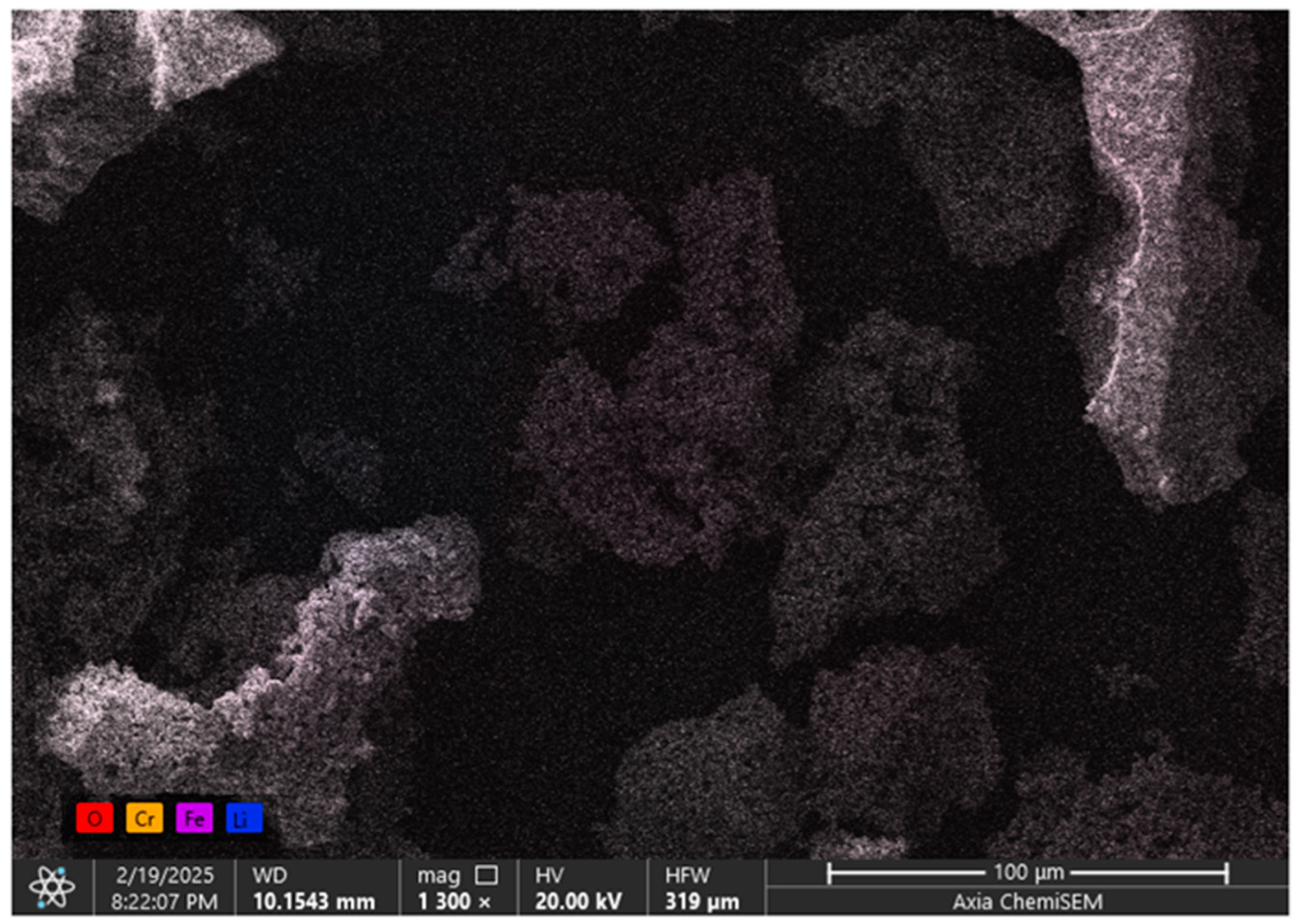 Ijms 26 10409 g007 Ijms 26 10409 g007