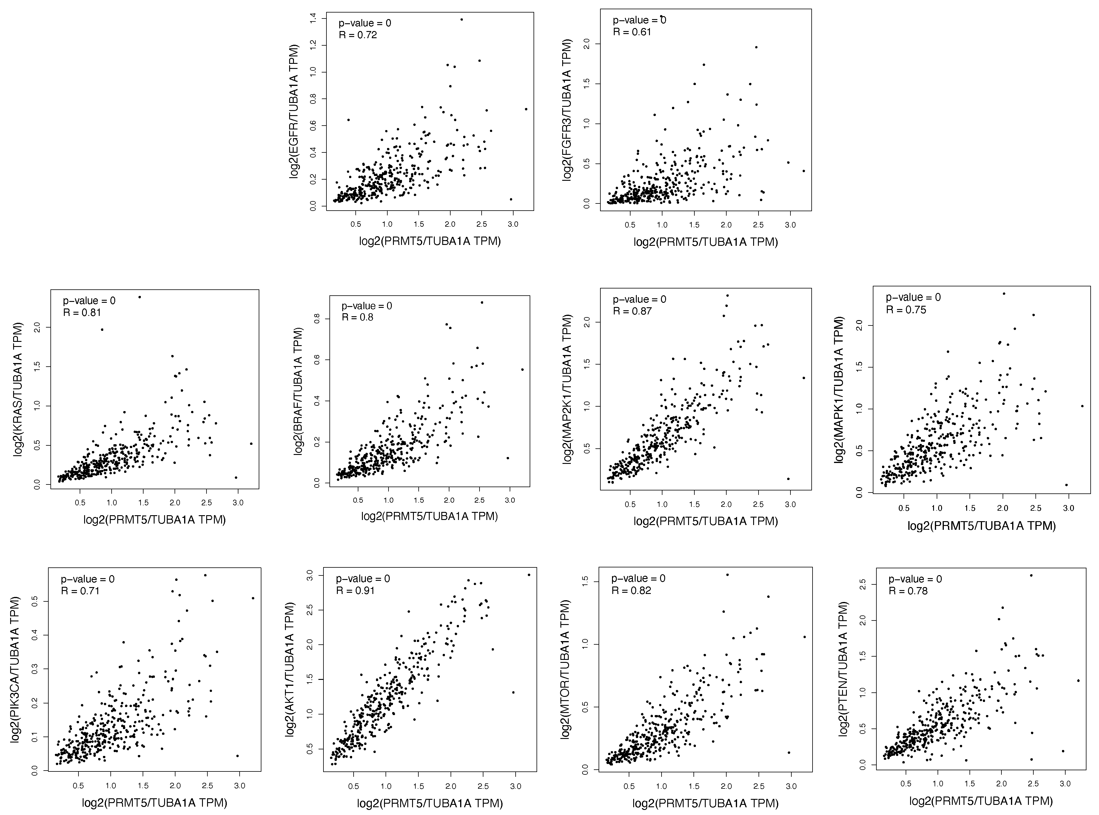 Ijms 26 10416 g001 Ijms 26 10416 g001