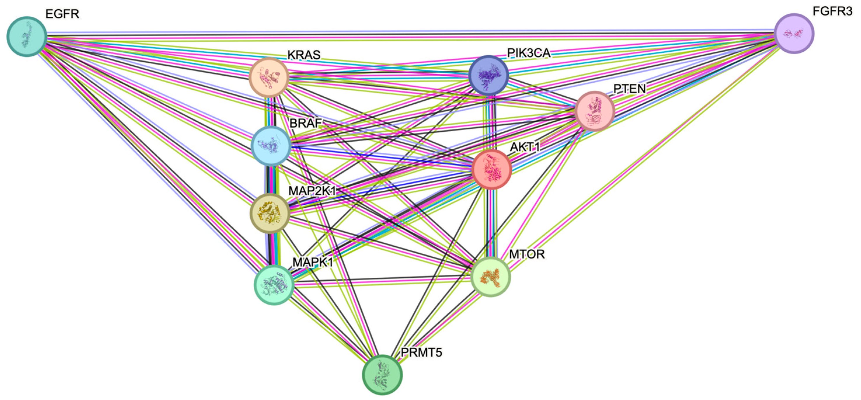 Ijms 26 10416 g002 Ijms 26 10416 g002