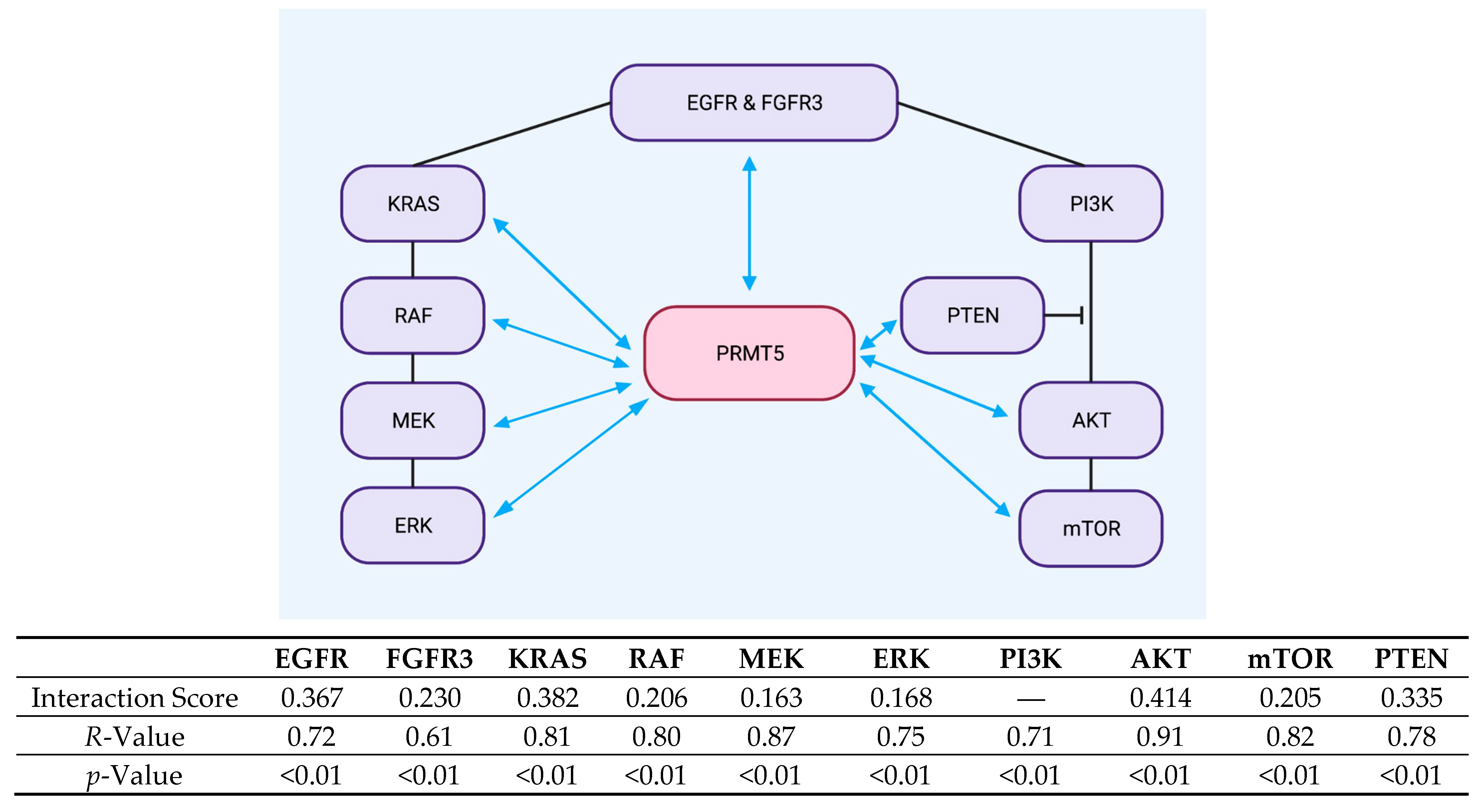 Ijms 26 10416 g003 Ijms 26 10416 g003