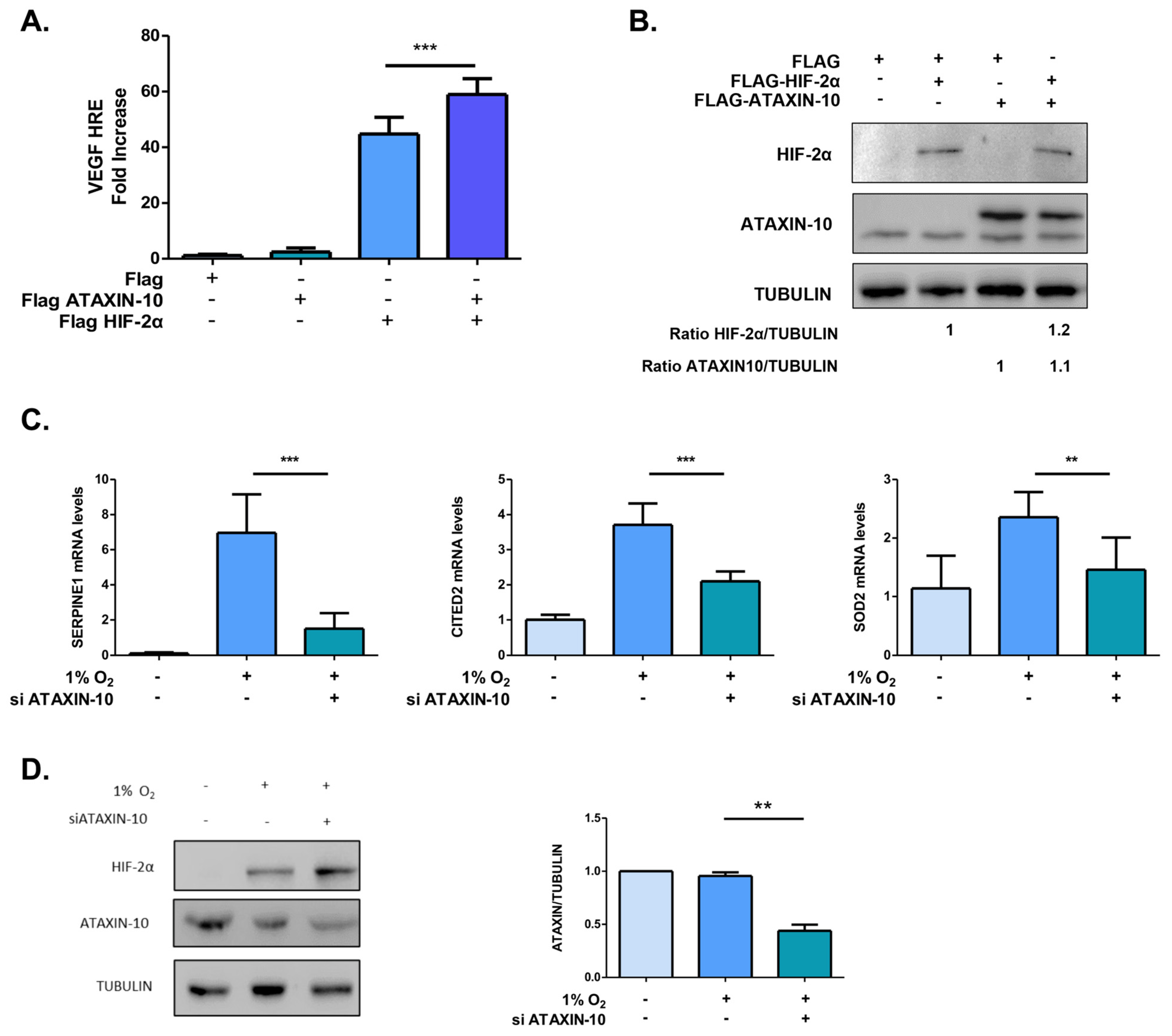 Ijms 26 10417 g002 Ijms 26 10417 g002