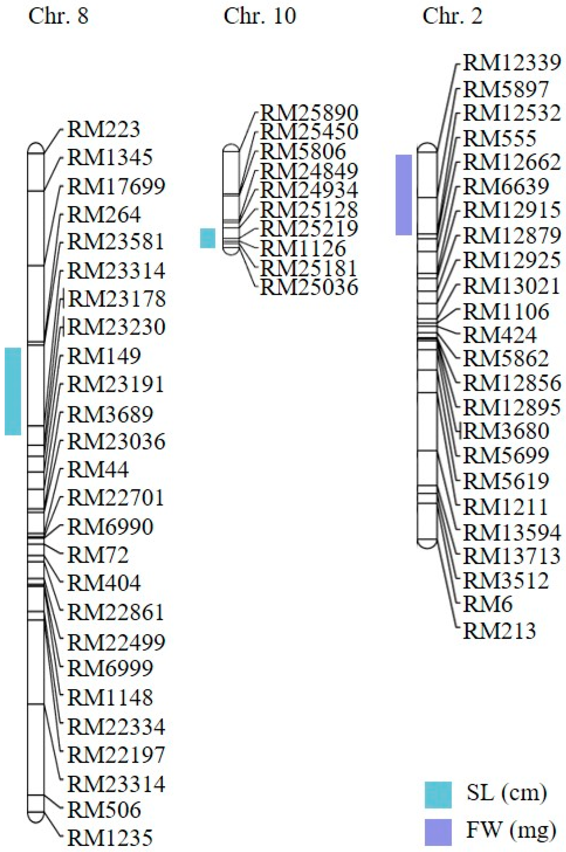 Ijms 26 10420 g003