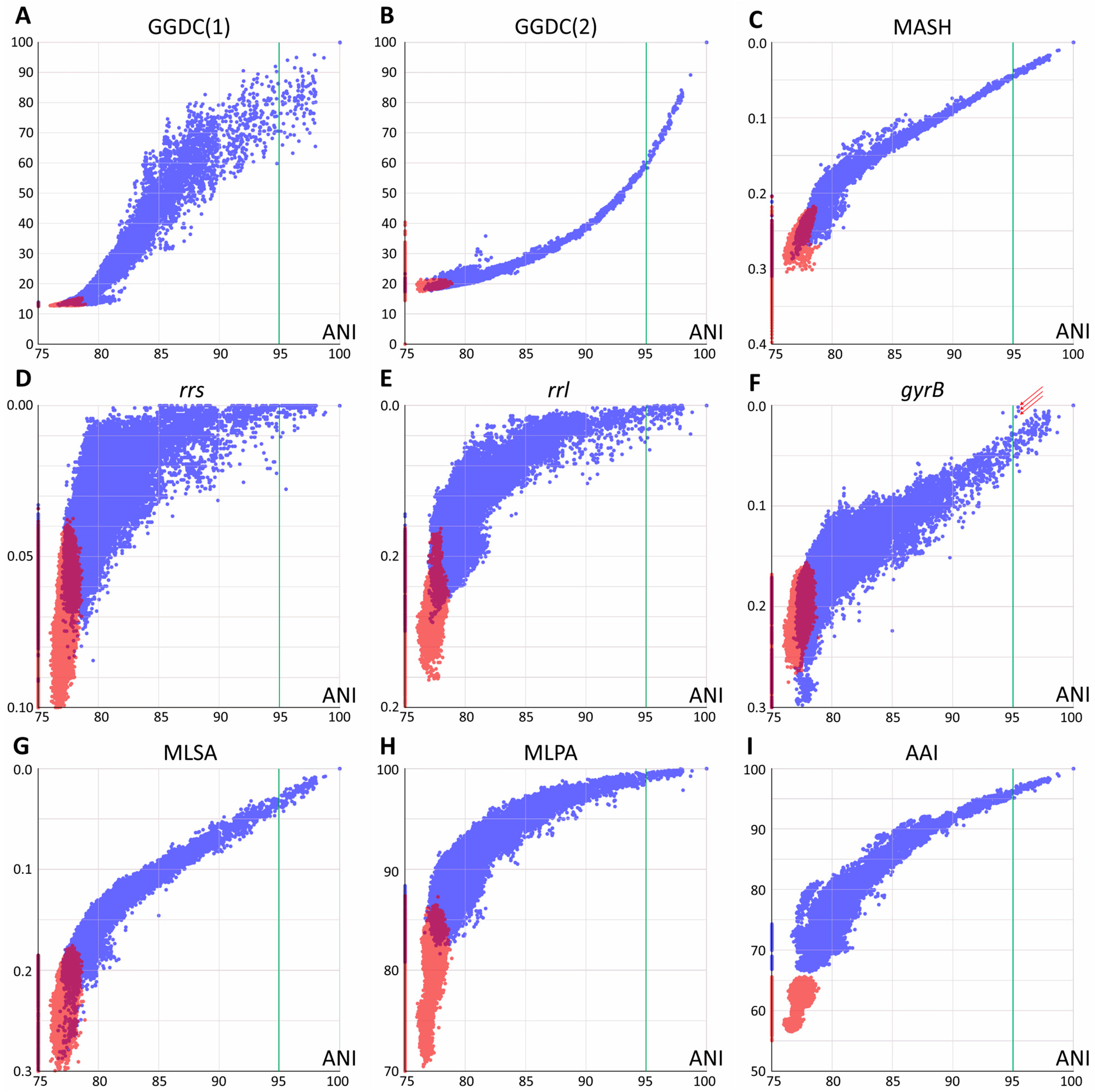 Ijms 26 10471 g001 Ijms 26 10471 g001