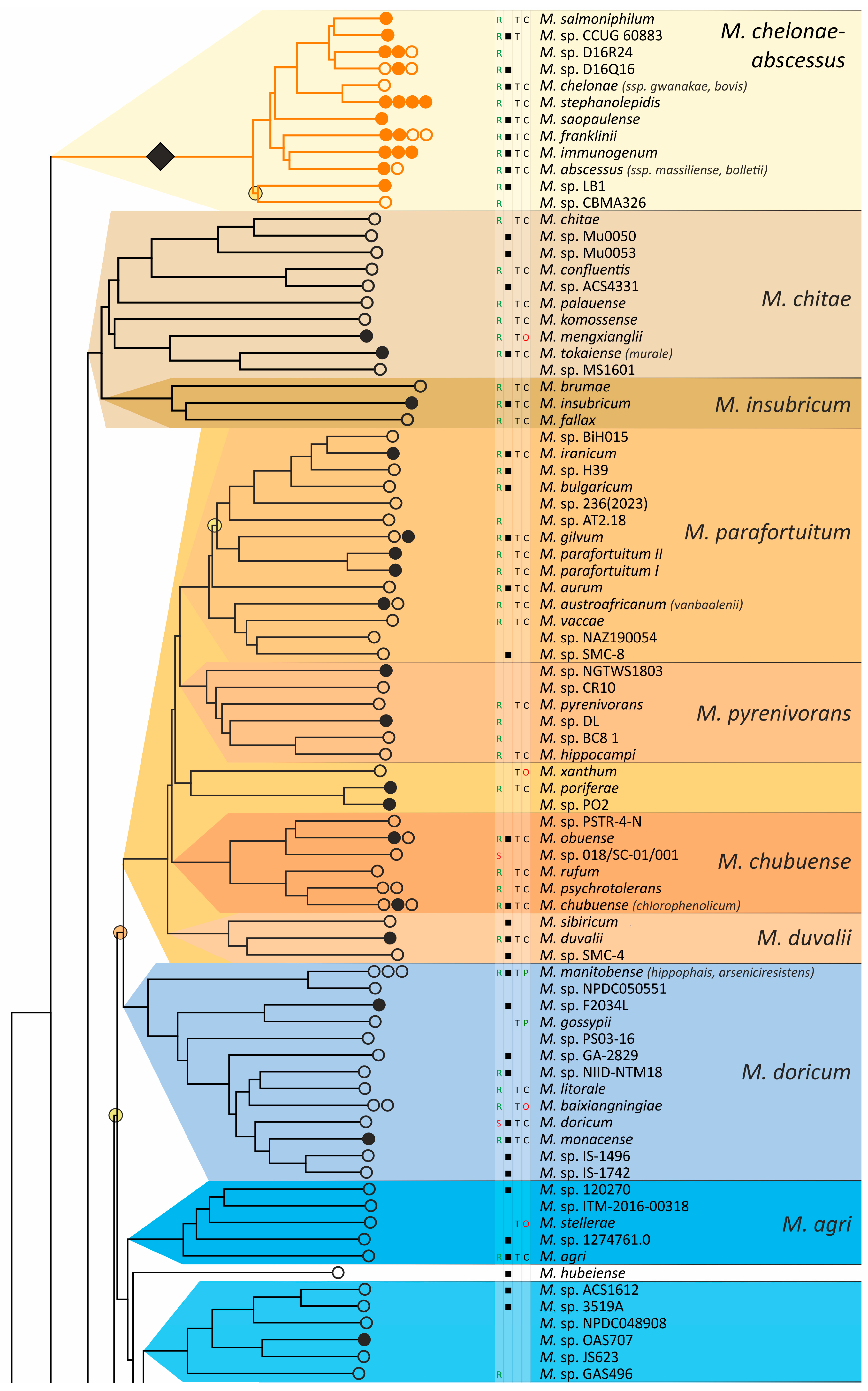 Ijms 26 10471 g004a Ijms 26 10471 g004a