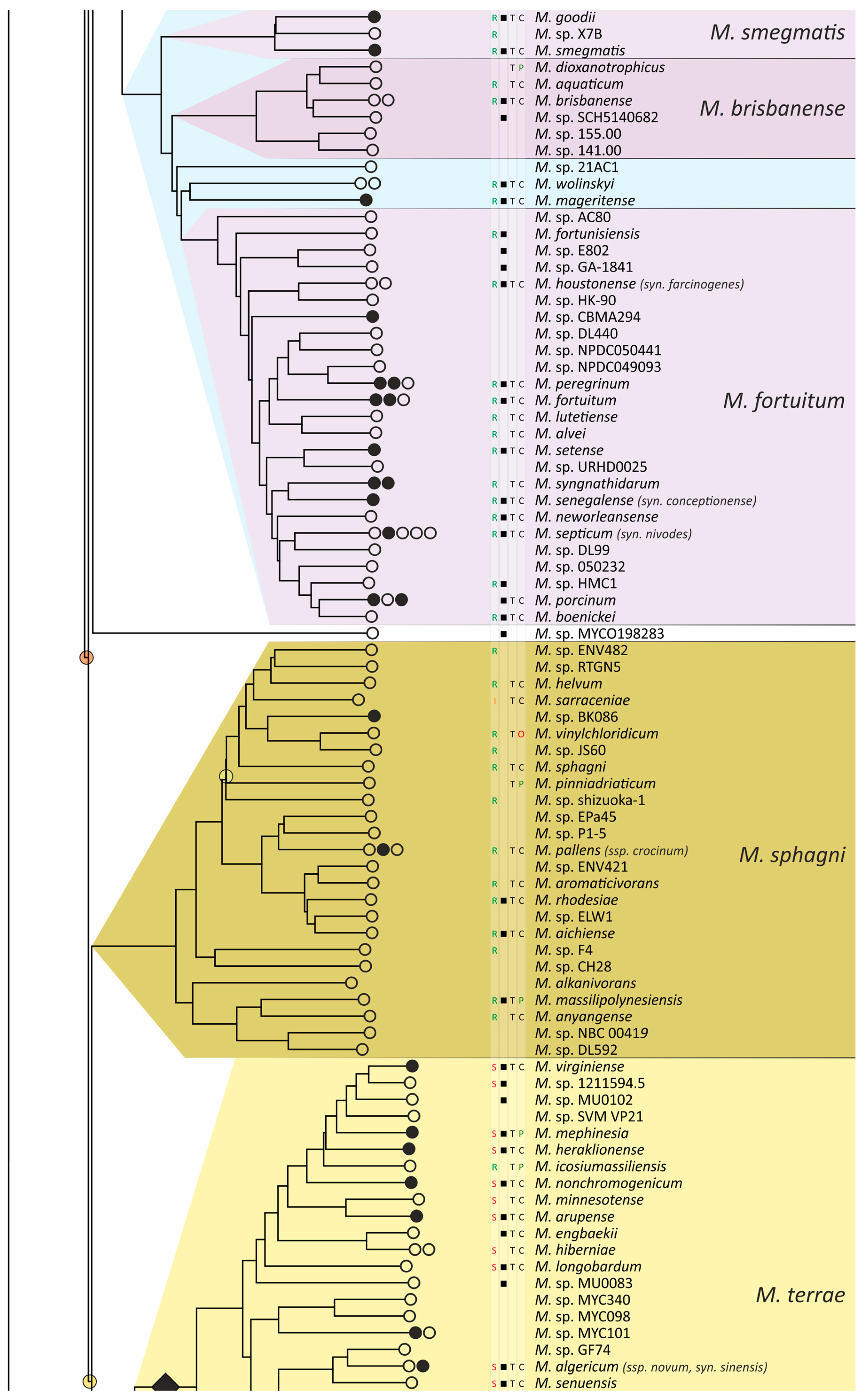 Ijms 26 10471 g004c Ijms 26 10471 g004c