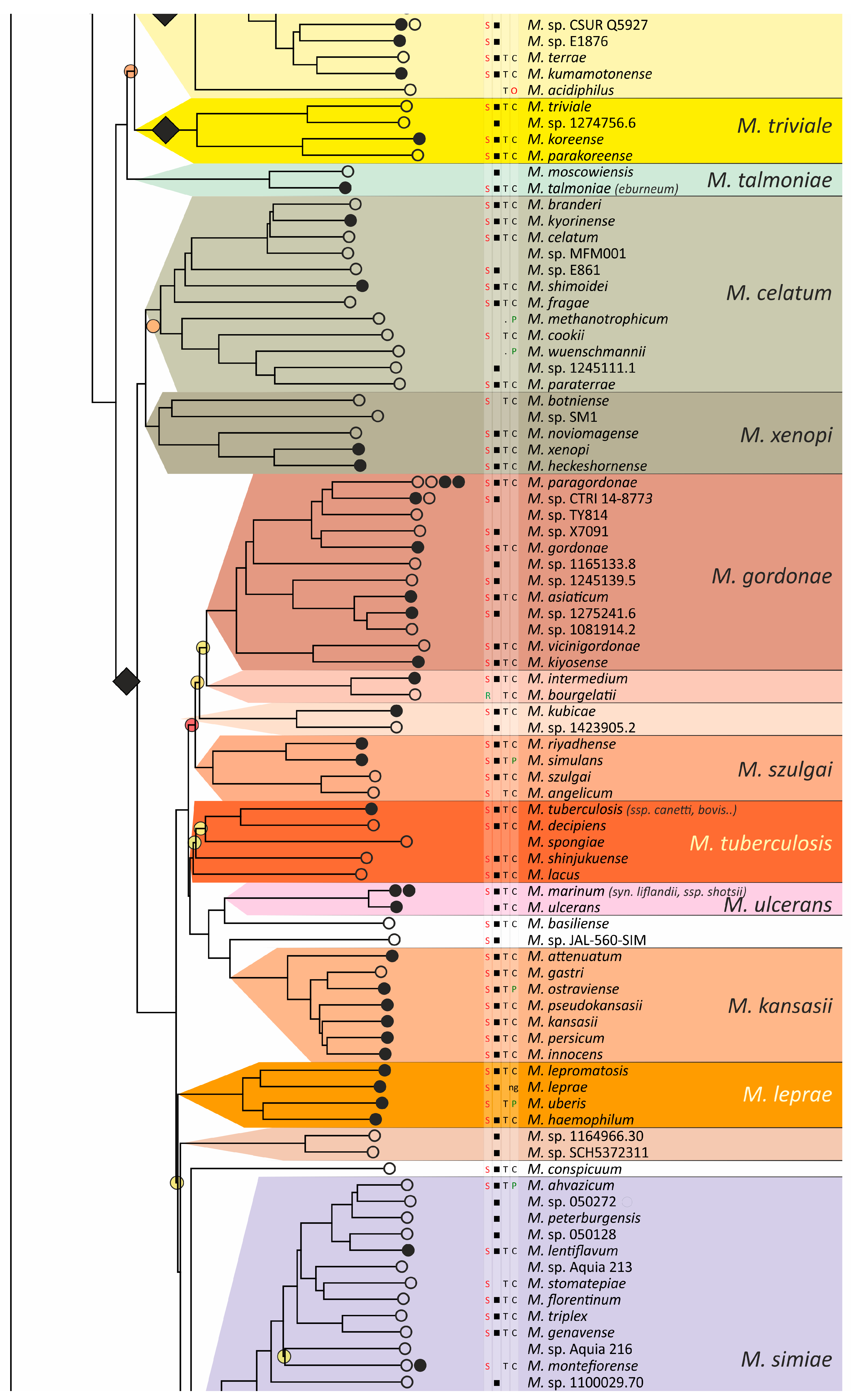 Ijms 26 10471 g004d Ijms 26 10471 g004d