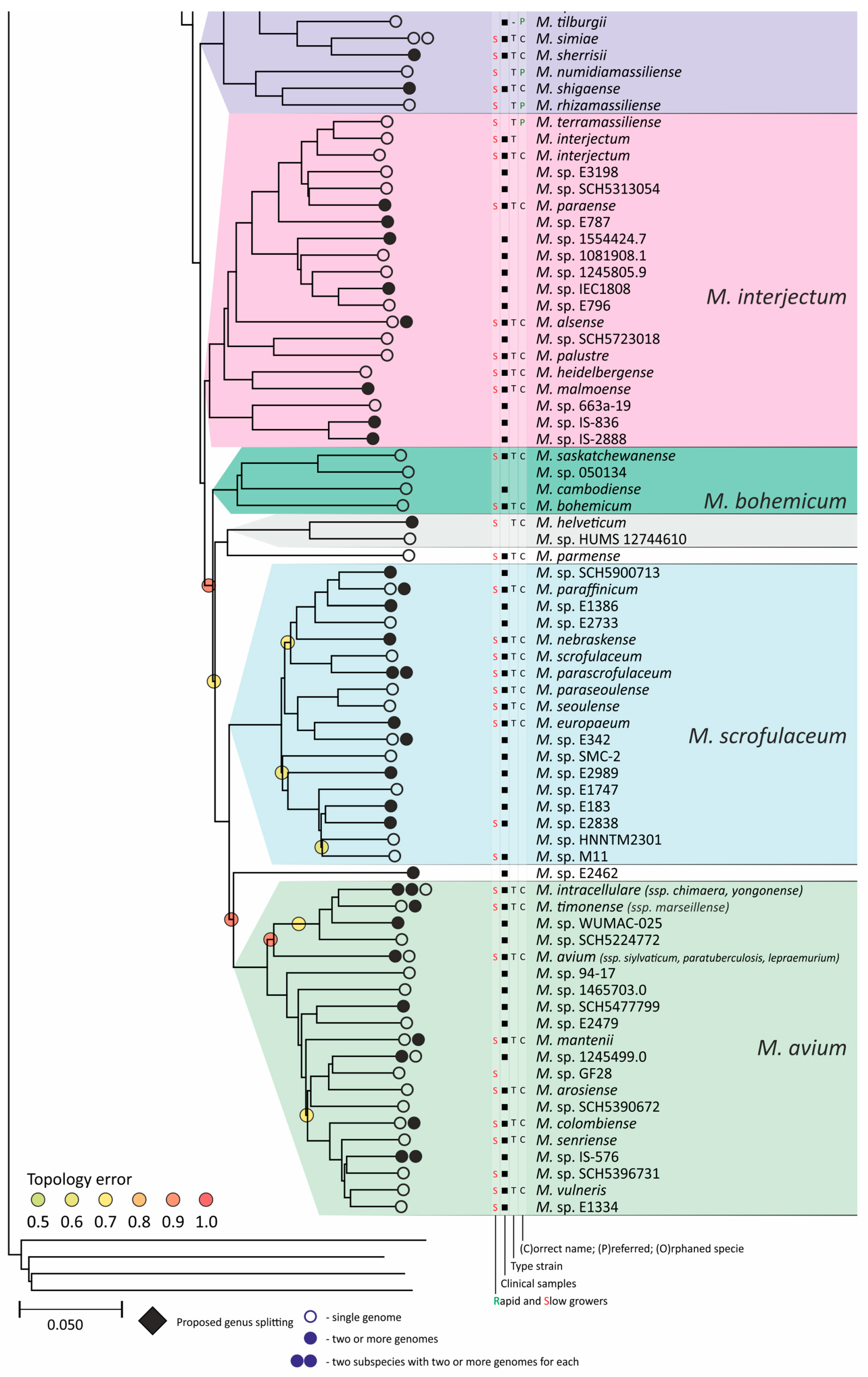 Ijms 26 10471 g004e Ijms 26 10471 g004e
