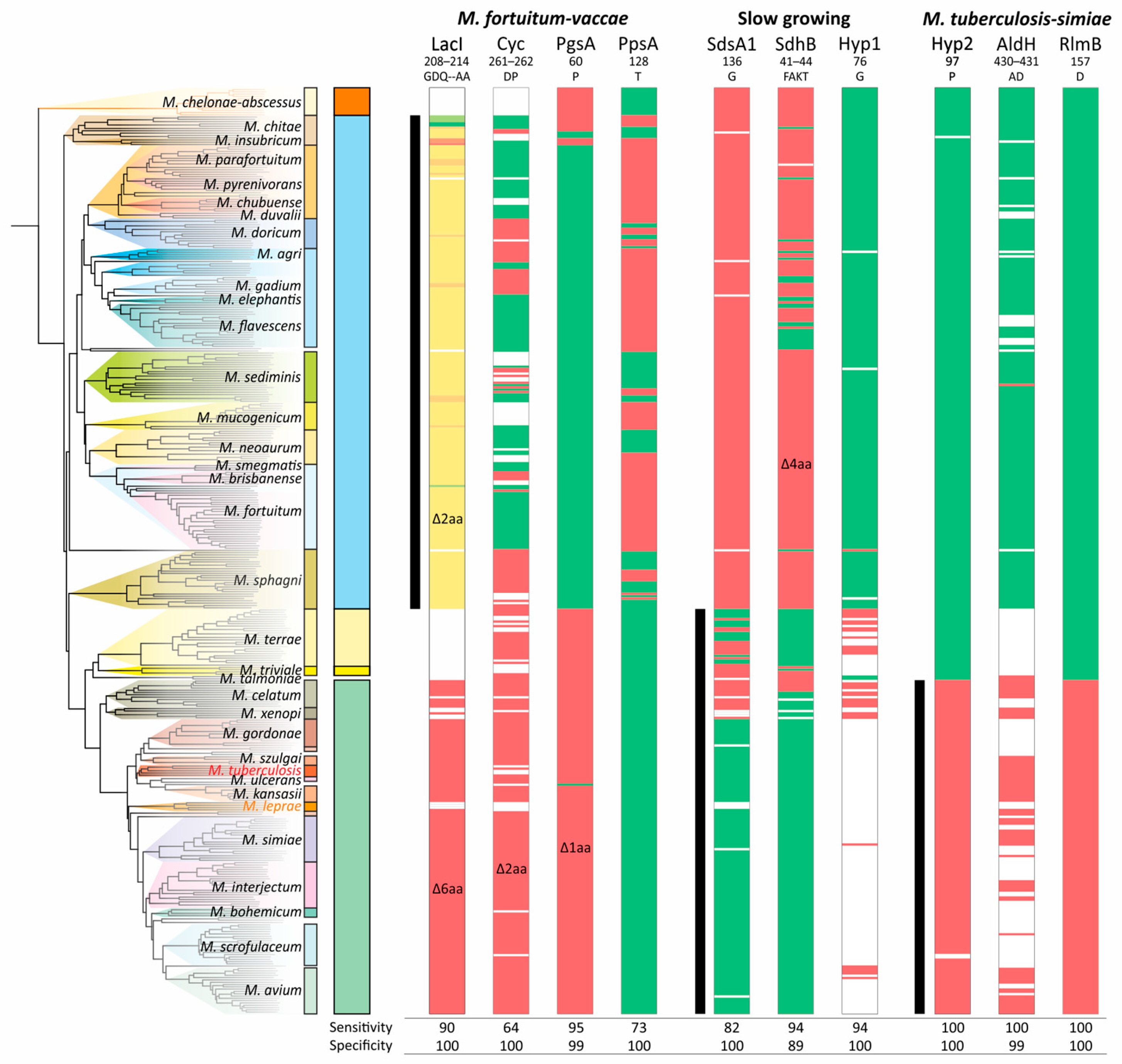 Ijms 26 10471 g005 Ijms 26 10471 g005
