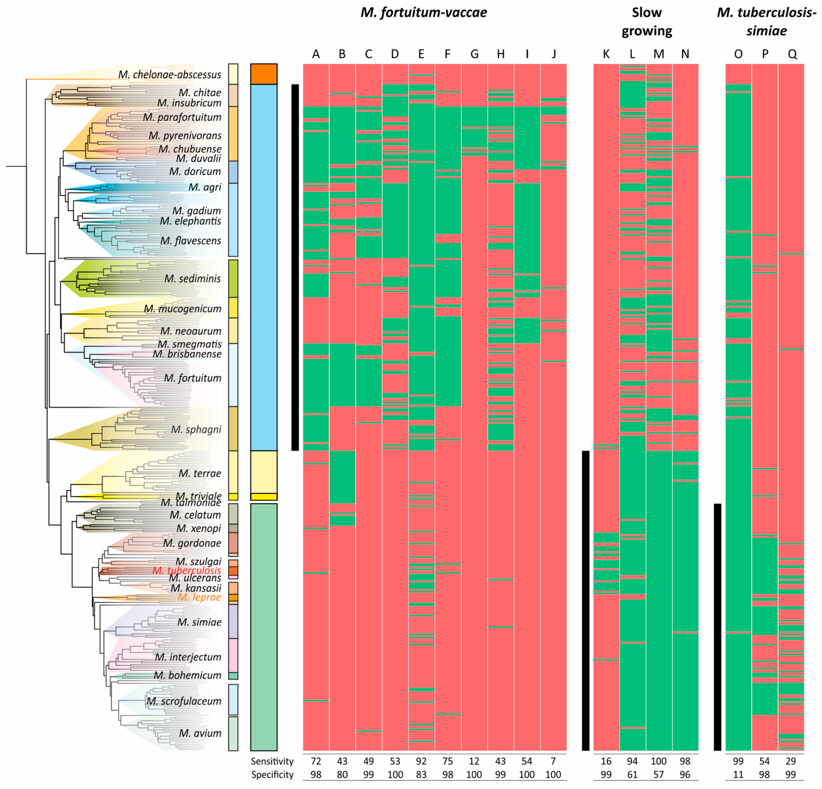 Ijms 26 10471 g006 Ijms 26 10471 g006