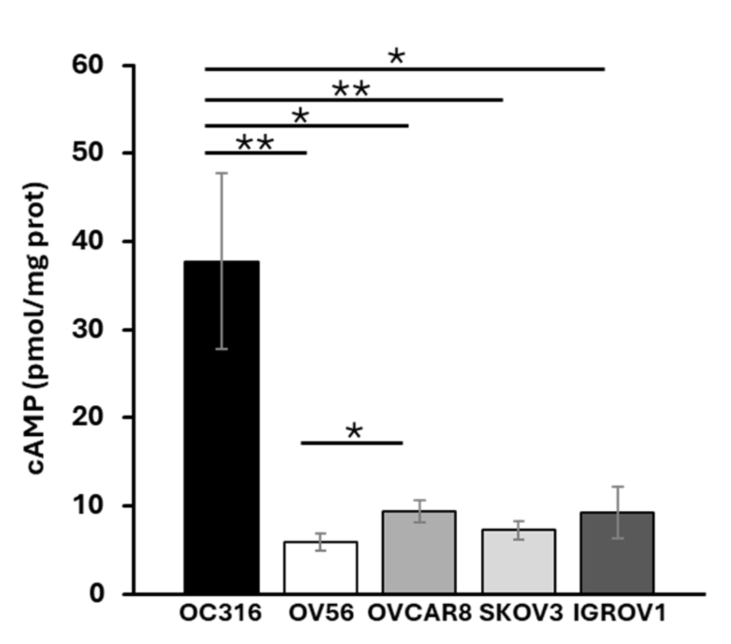 Ijms 26 10474 g001 Ijms 26 10474 g001