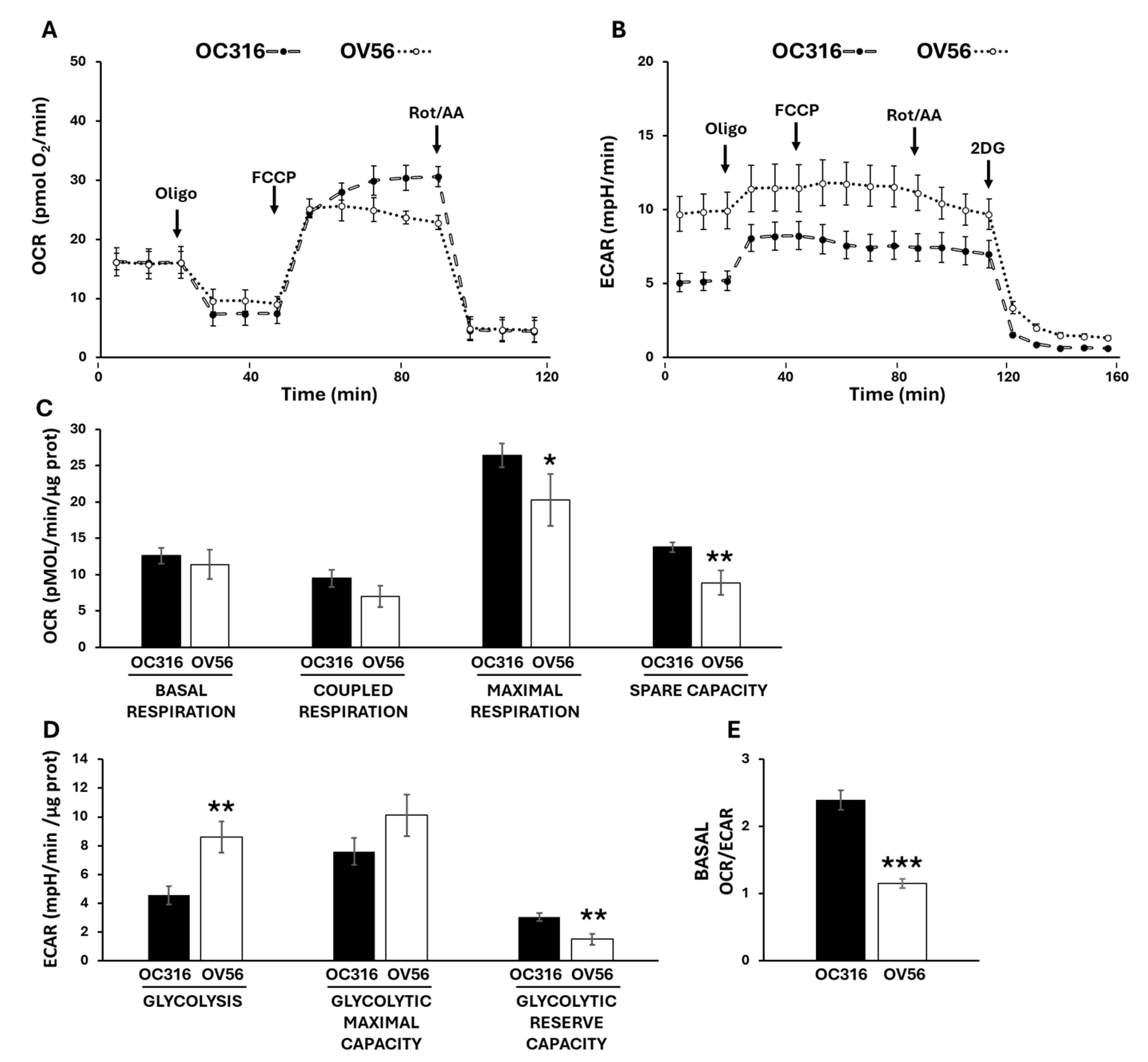 Ijms 26 10474 g005 Ijms 26 10474 g005