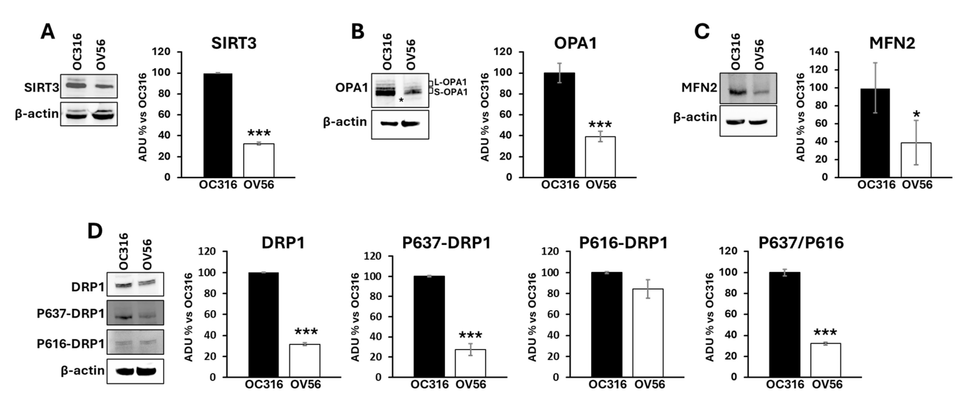 Ijms 26 10474 g006 Ijms 26 10474 g006