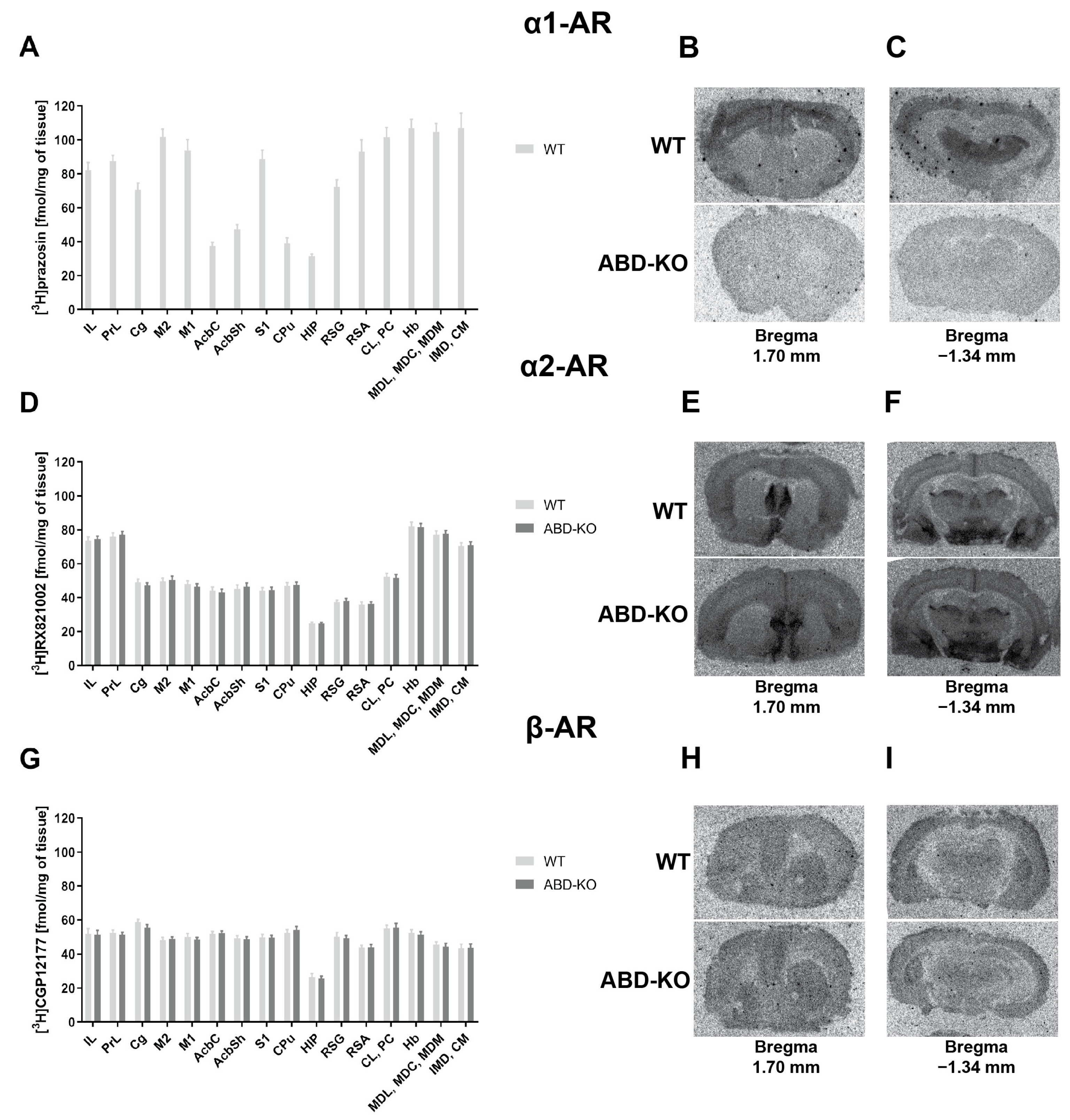 Ijms 26 10488 g001 Ijms 26 10488 g001