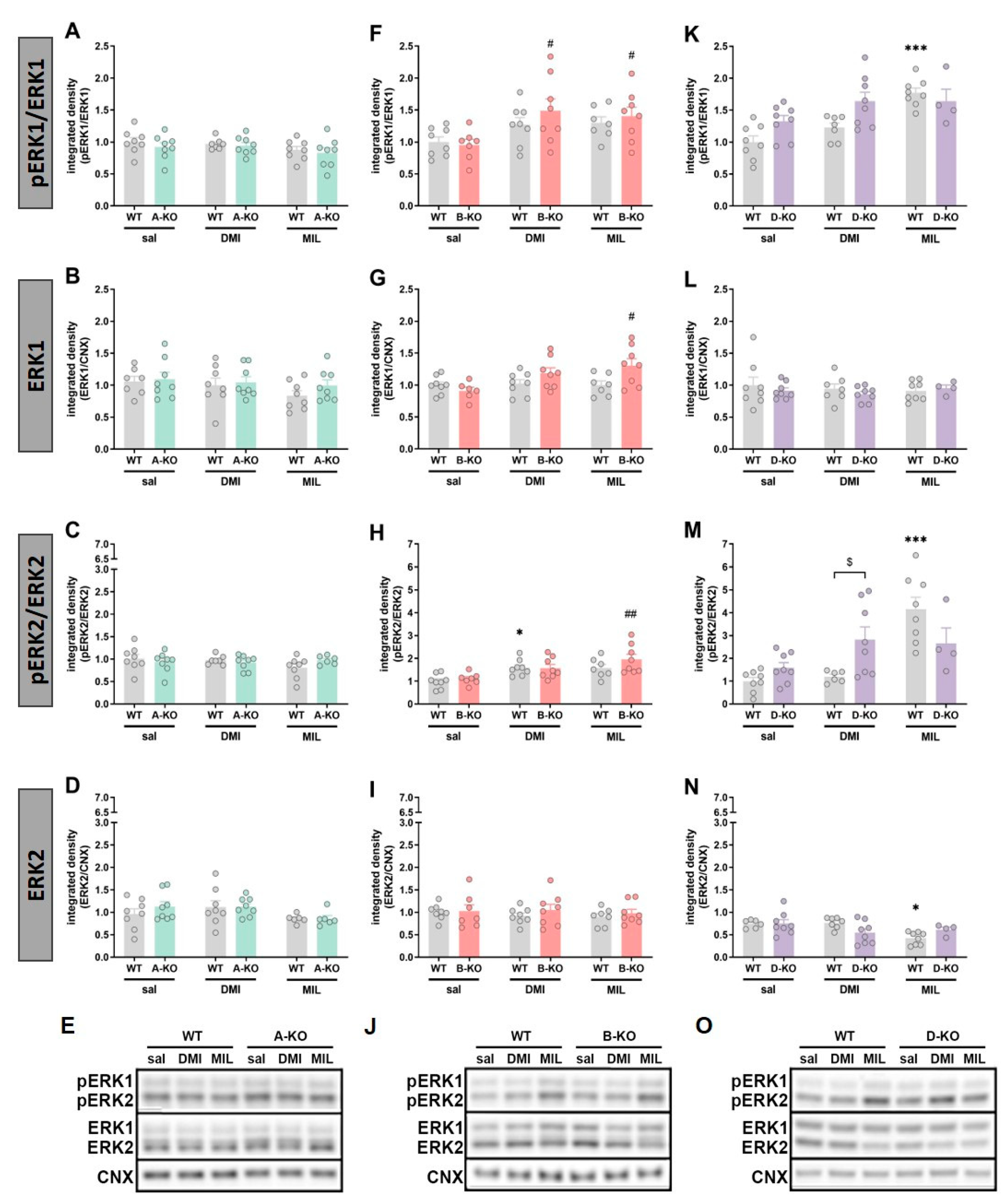 Ijms 26 10488 g006 Ijms 26 10488 g006