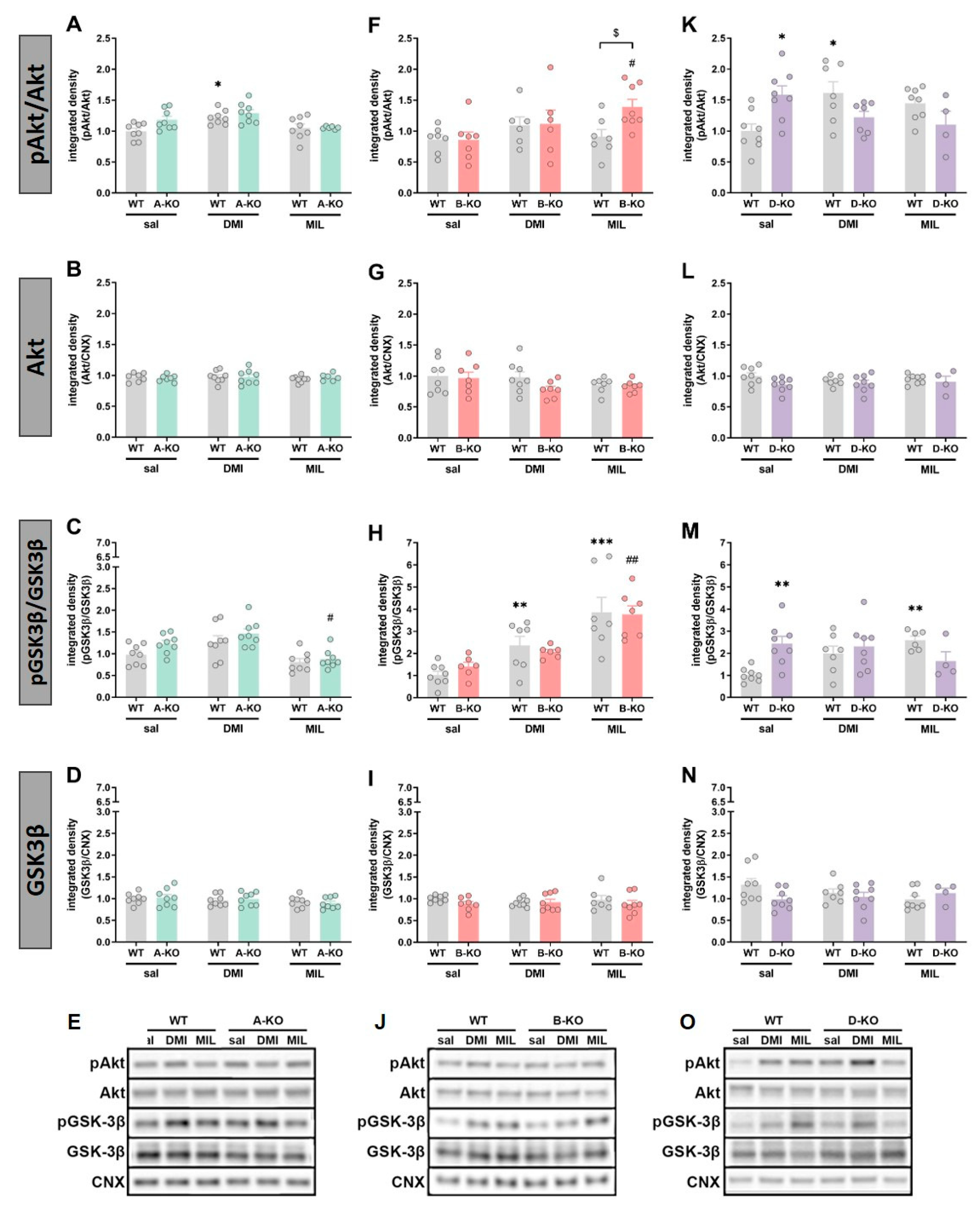 Ijms 26 10488 g007 Ijms 26 10488 g007