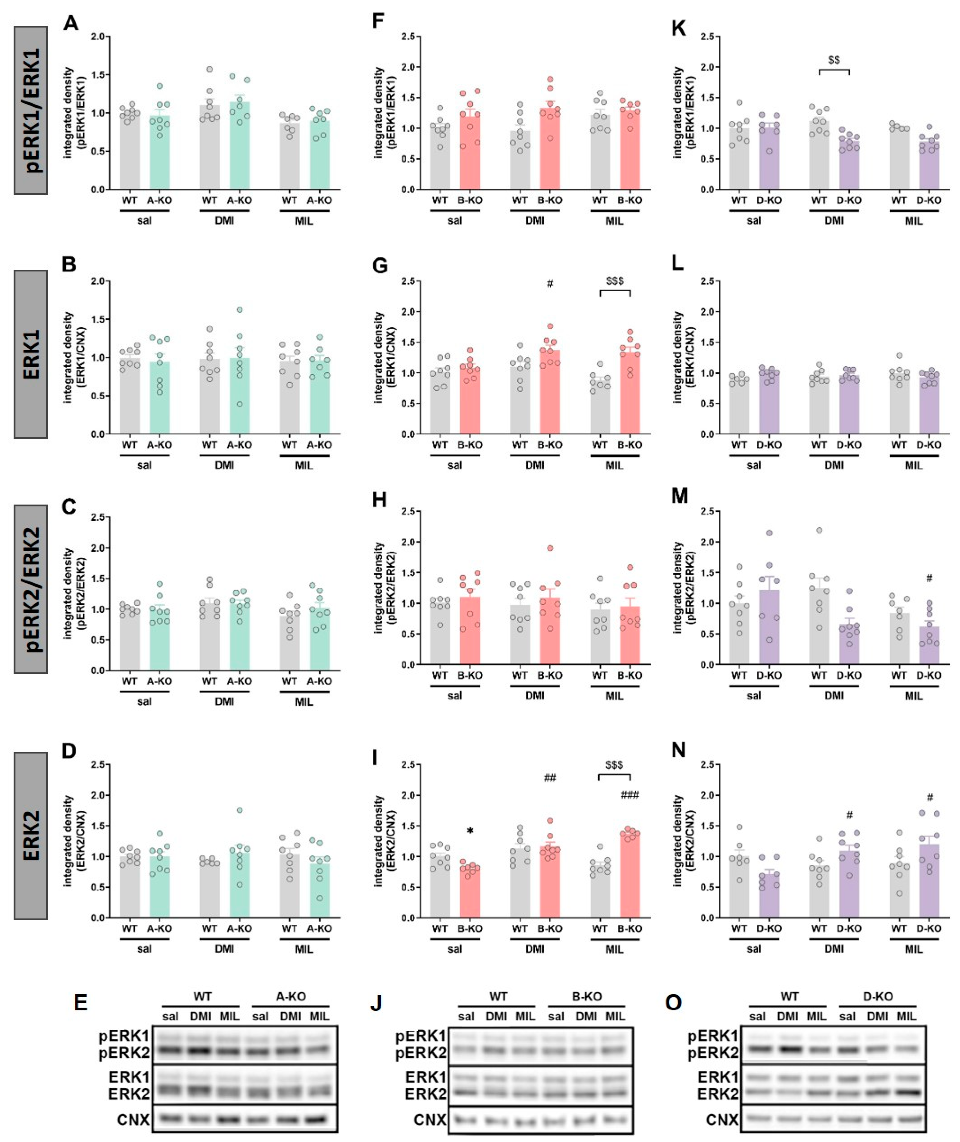 Ijms 26 10488 g008 Ijms 26 10488 g008
