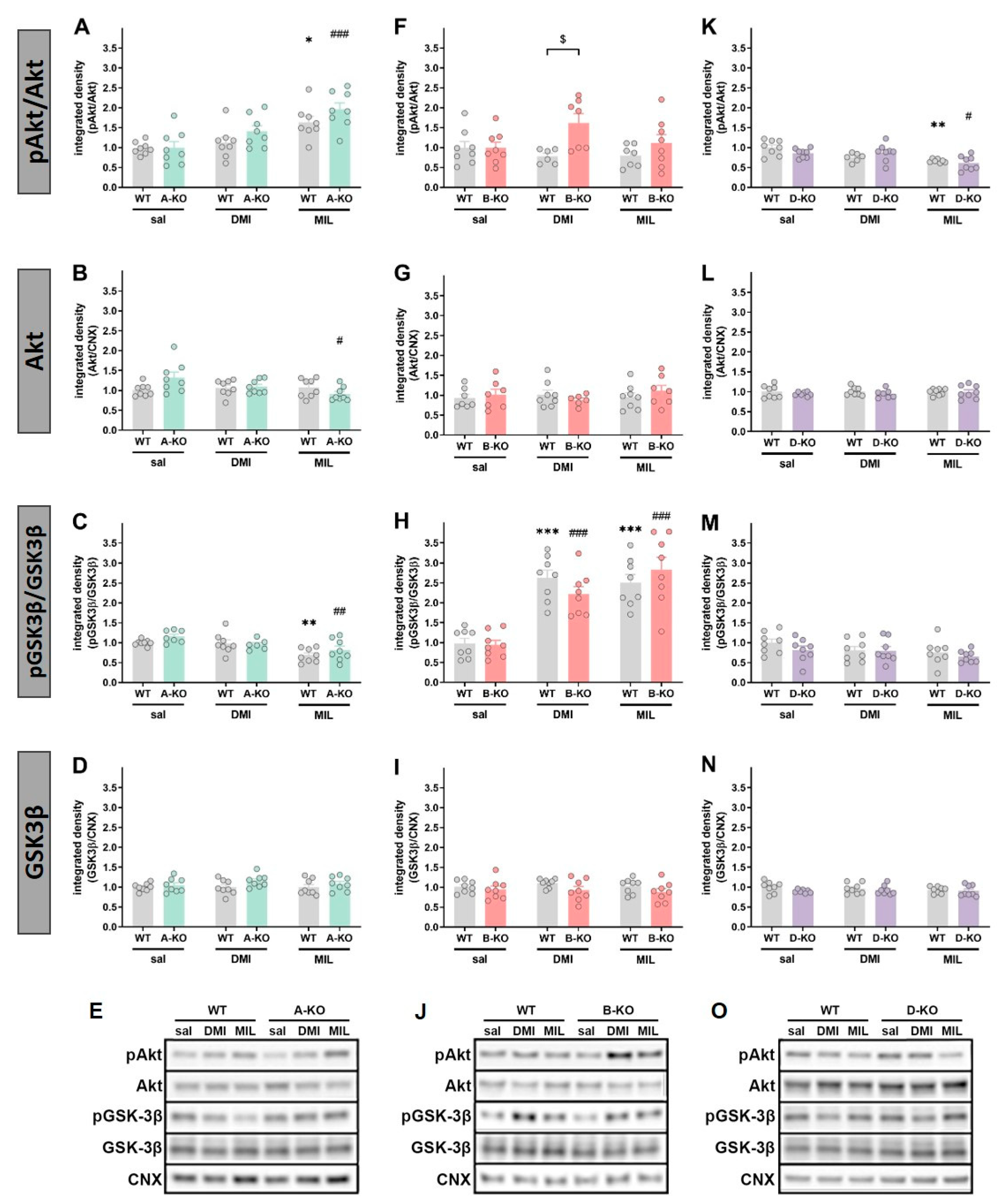 Ijms 26 10488 g009 Ijms 26 10488 g009