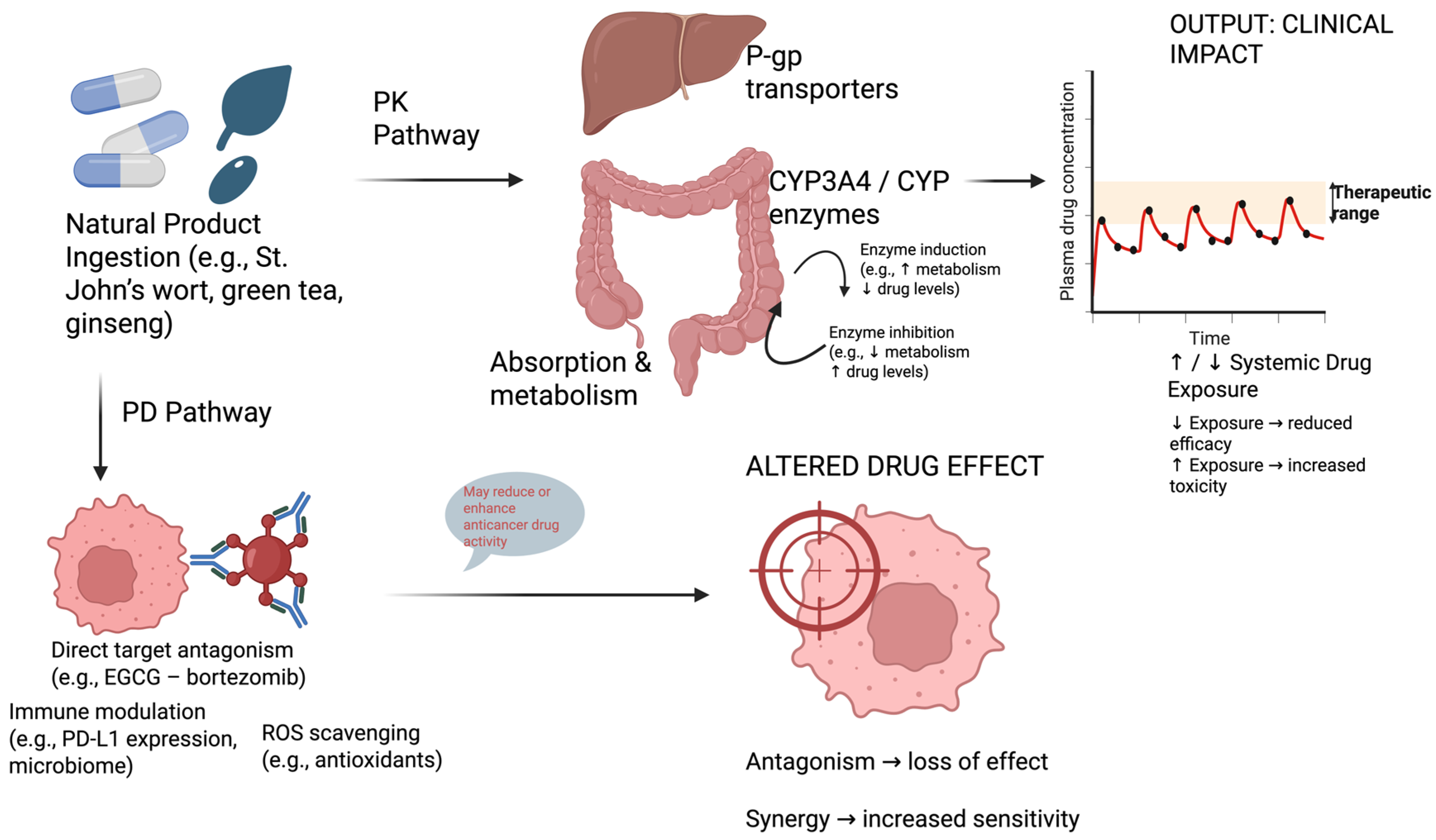 Ijms 26 10494 g001 Ijms 26 10494 g001
