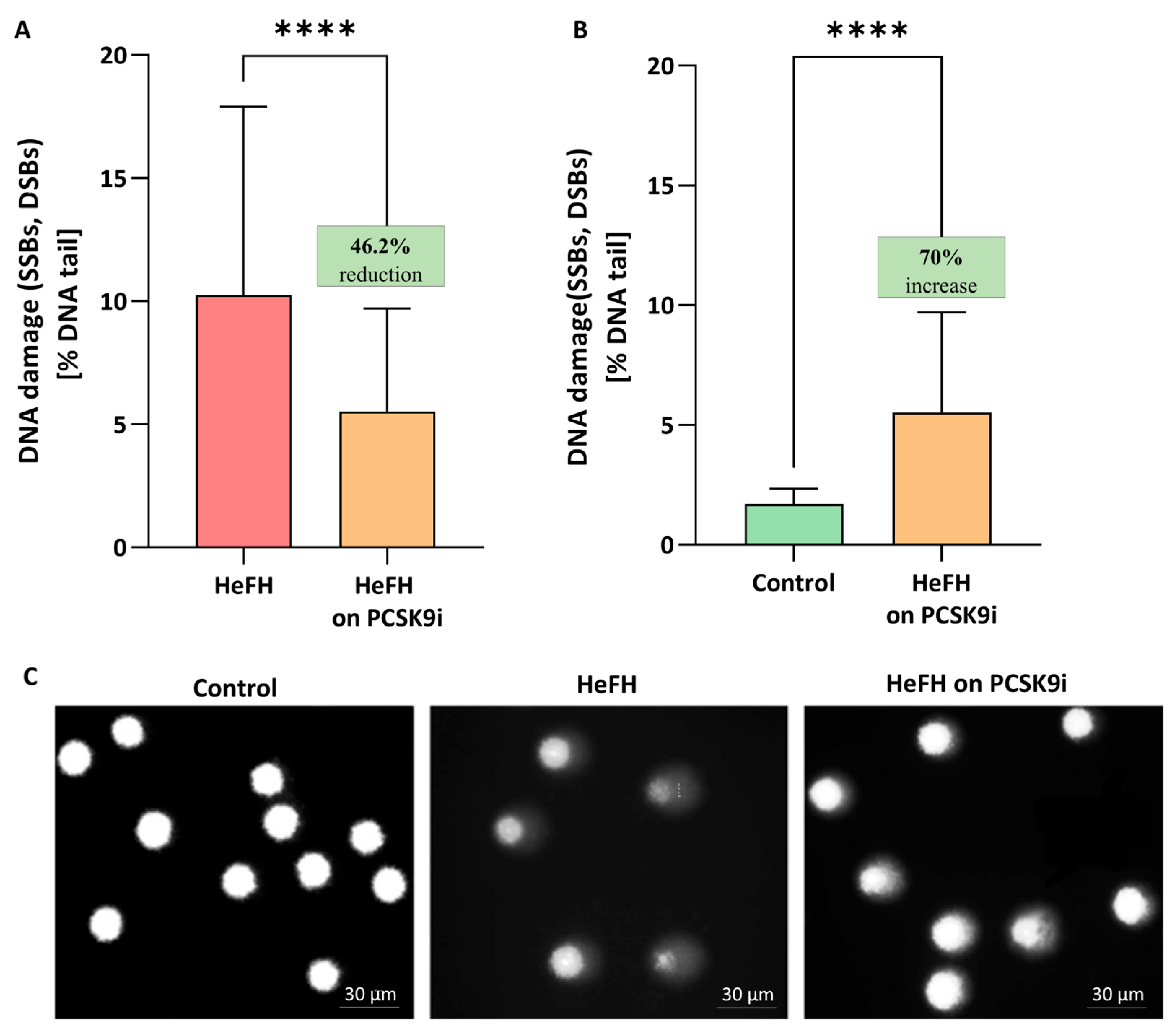 Ijms 26 10529 g001 Ijms 26 10529 g001