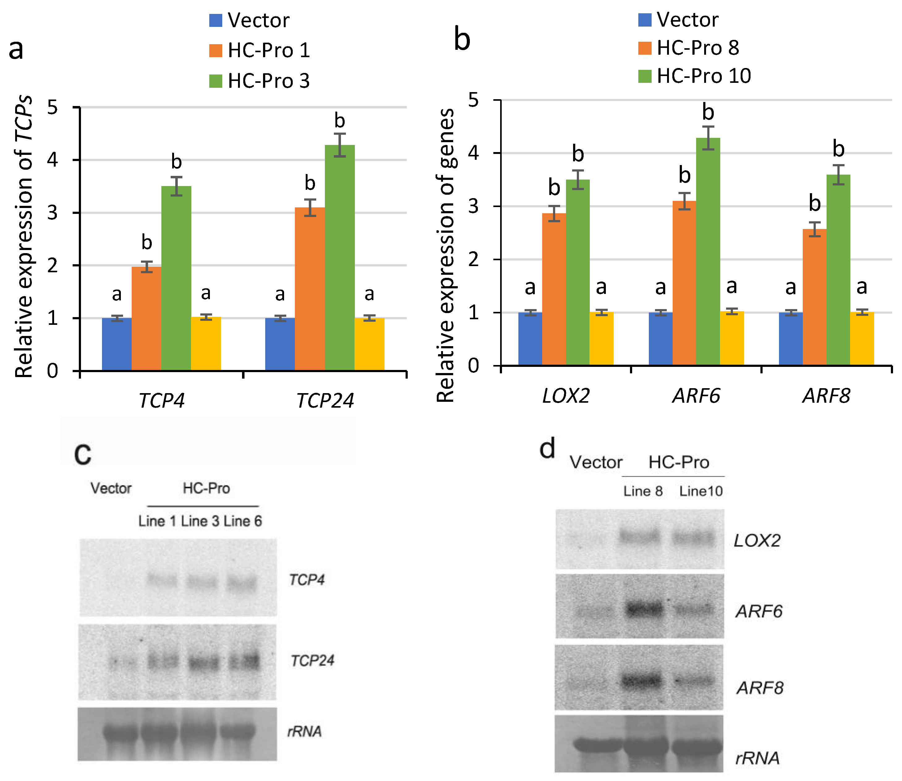 Ijms 26 10551 g002 Ijms 26 10551 g002