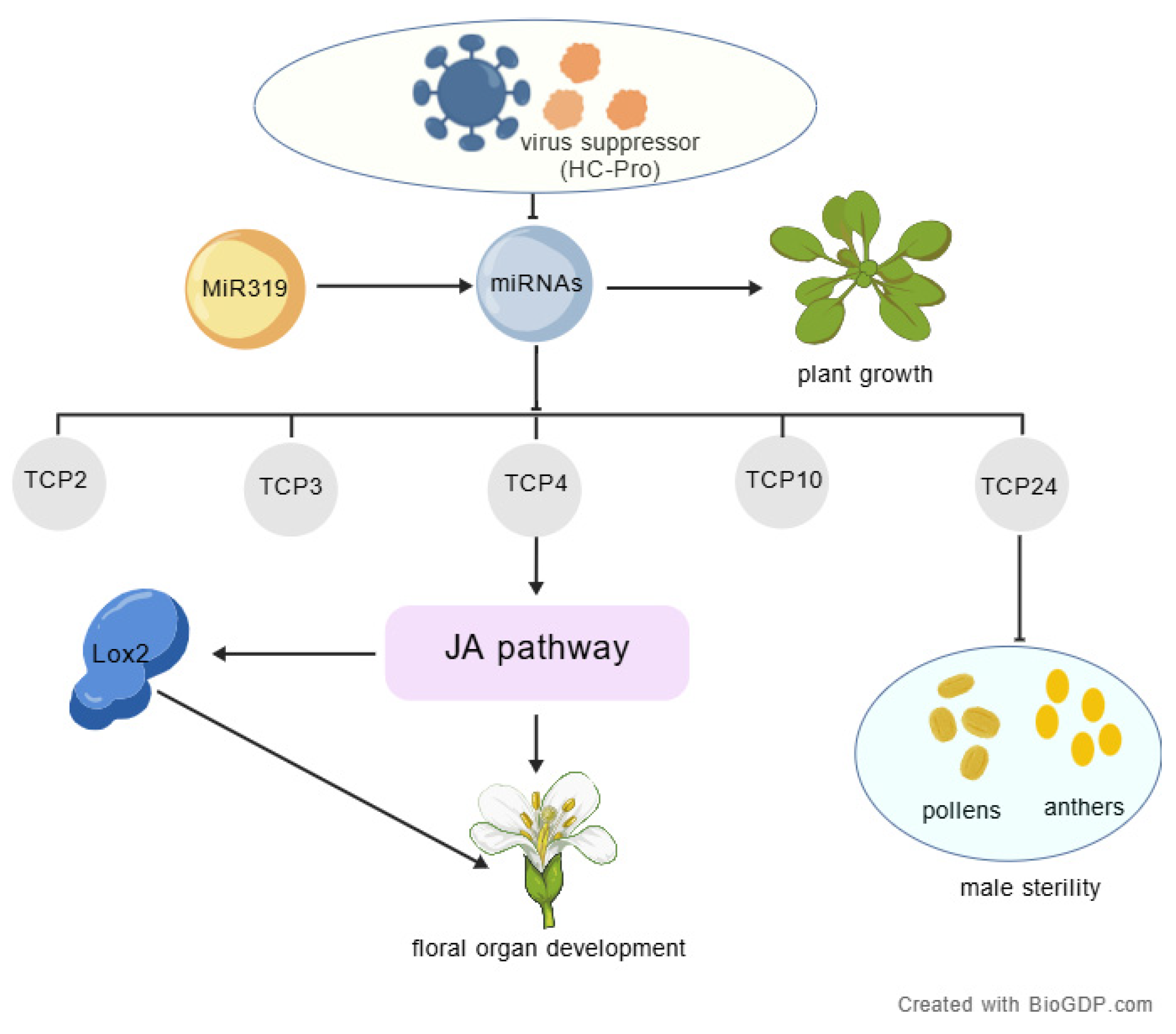 Ijms 26 10551 g006 Ijms 26 10551 g006