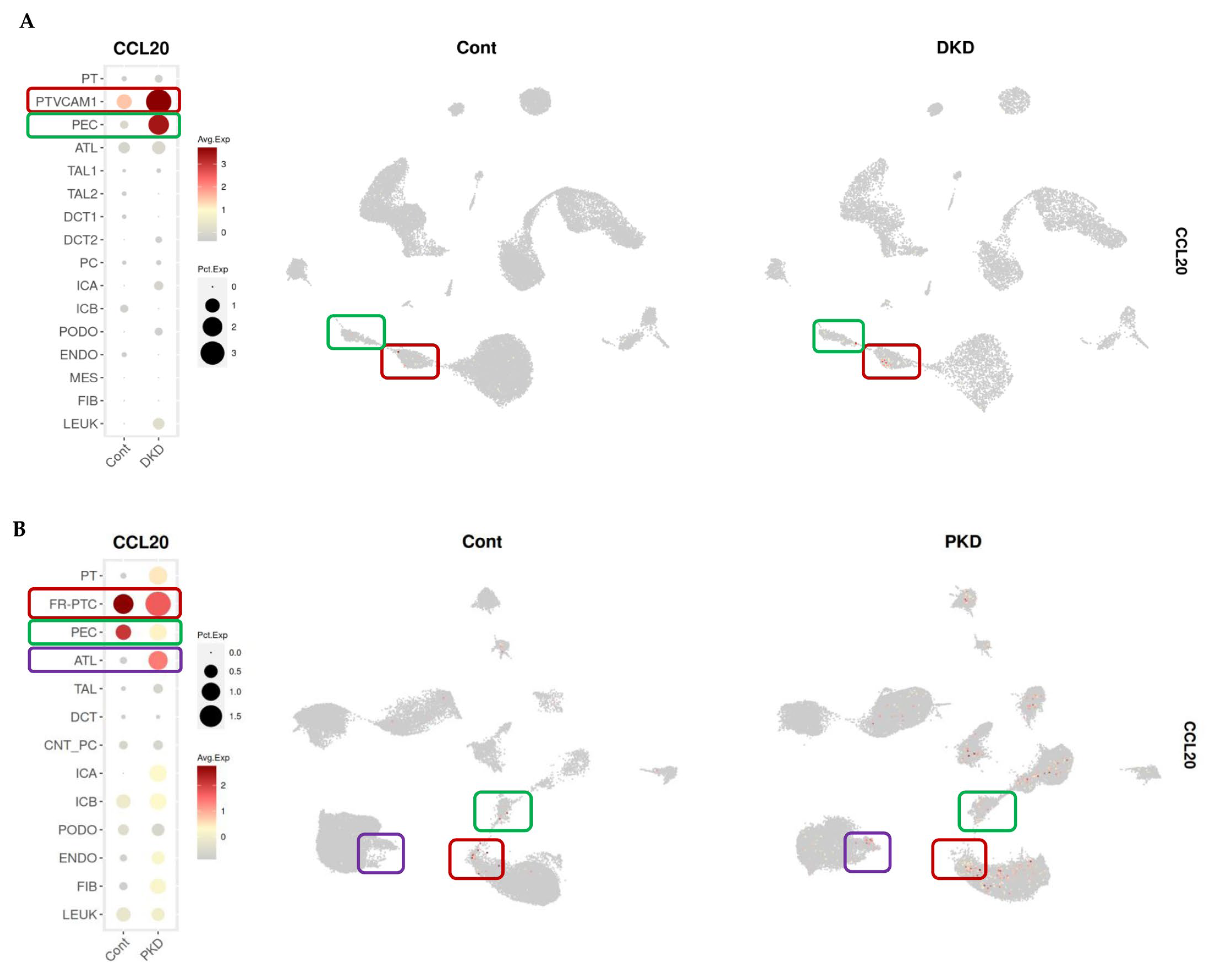 Ijms 26 10563 g006 Ijms 26 10563 g006