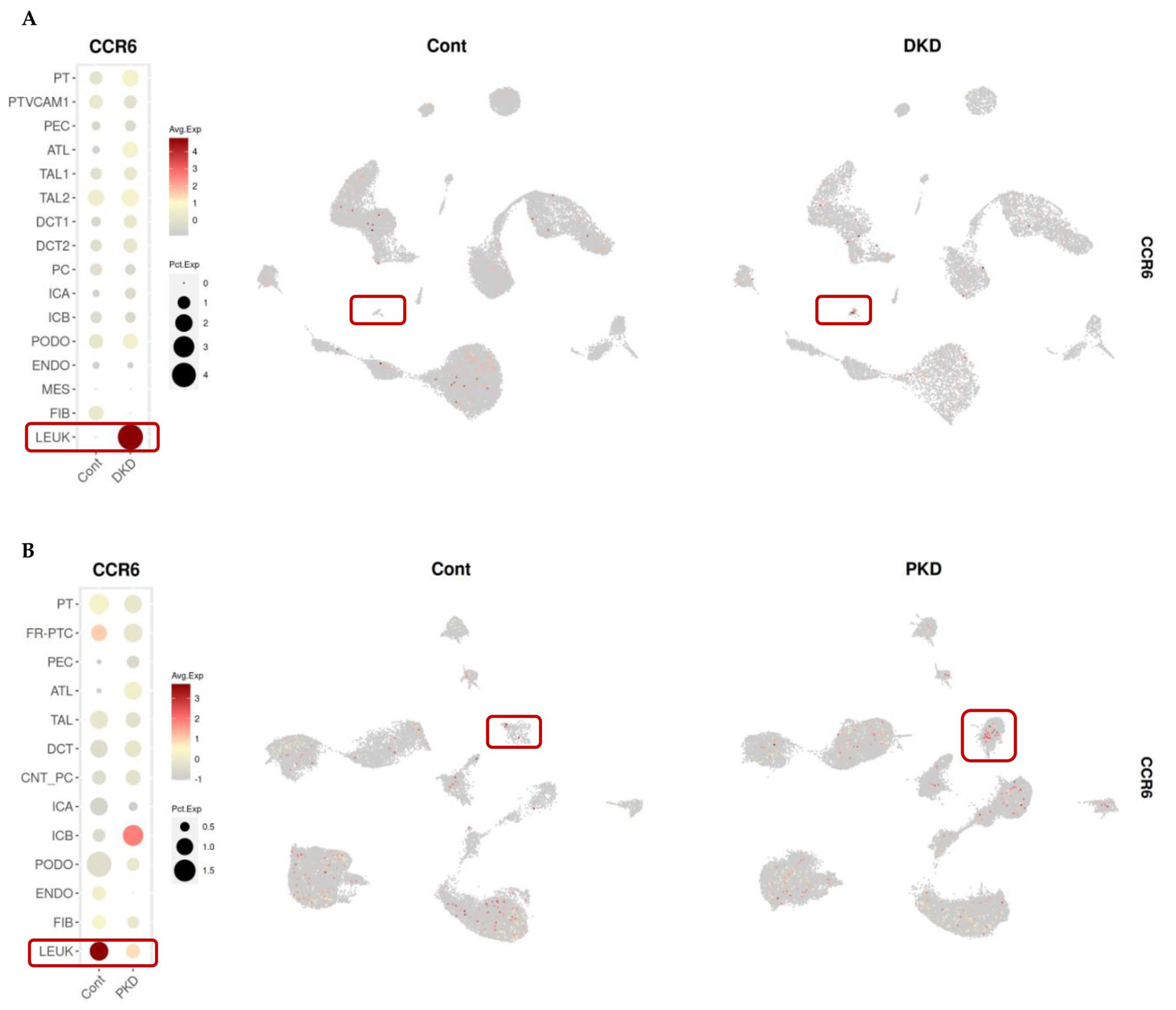 Ijms 26 10563 g007 Ijms 26 10563 g007